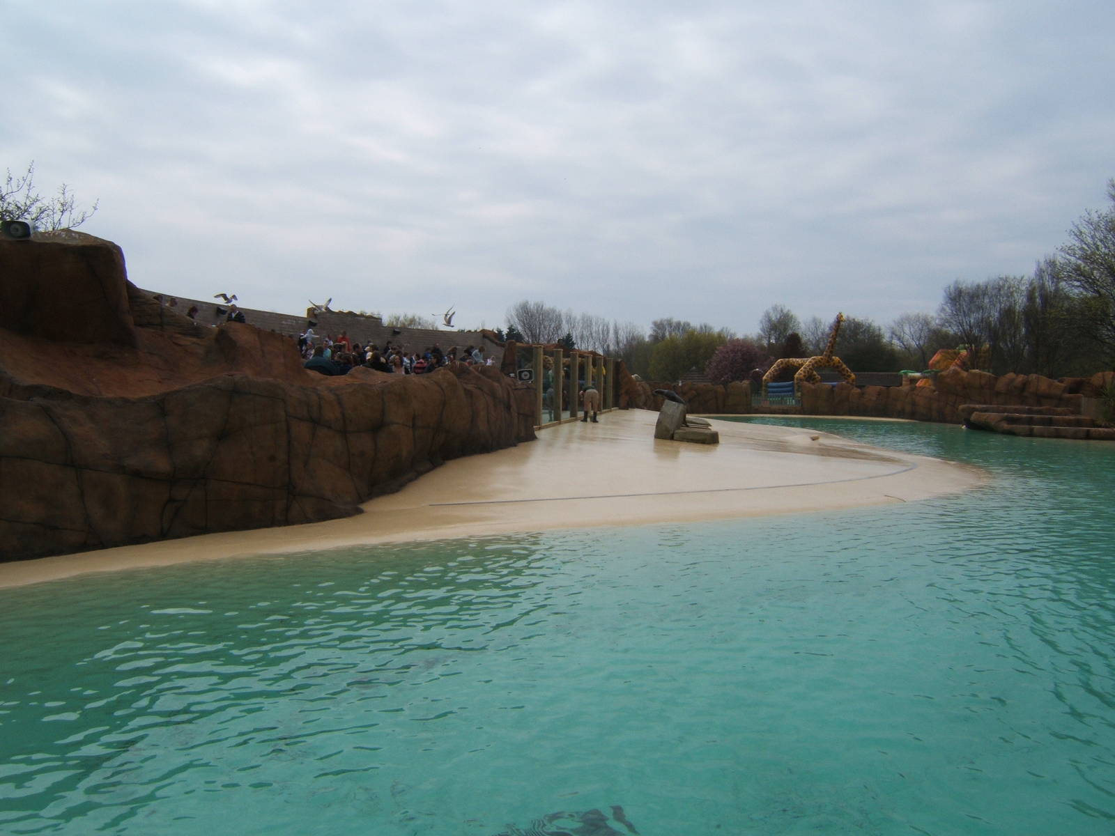View of Sealion pool
