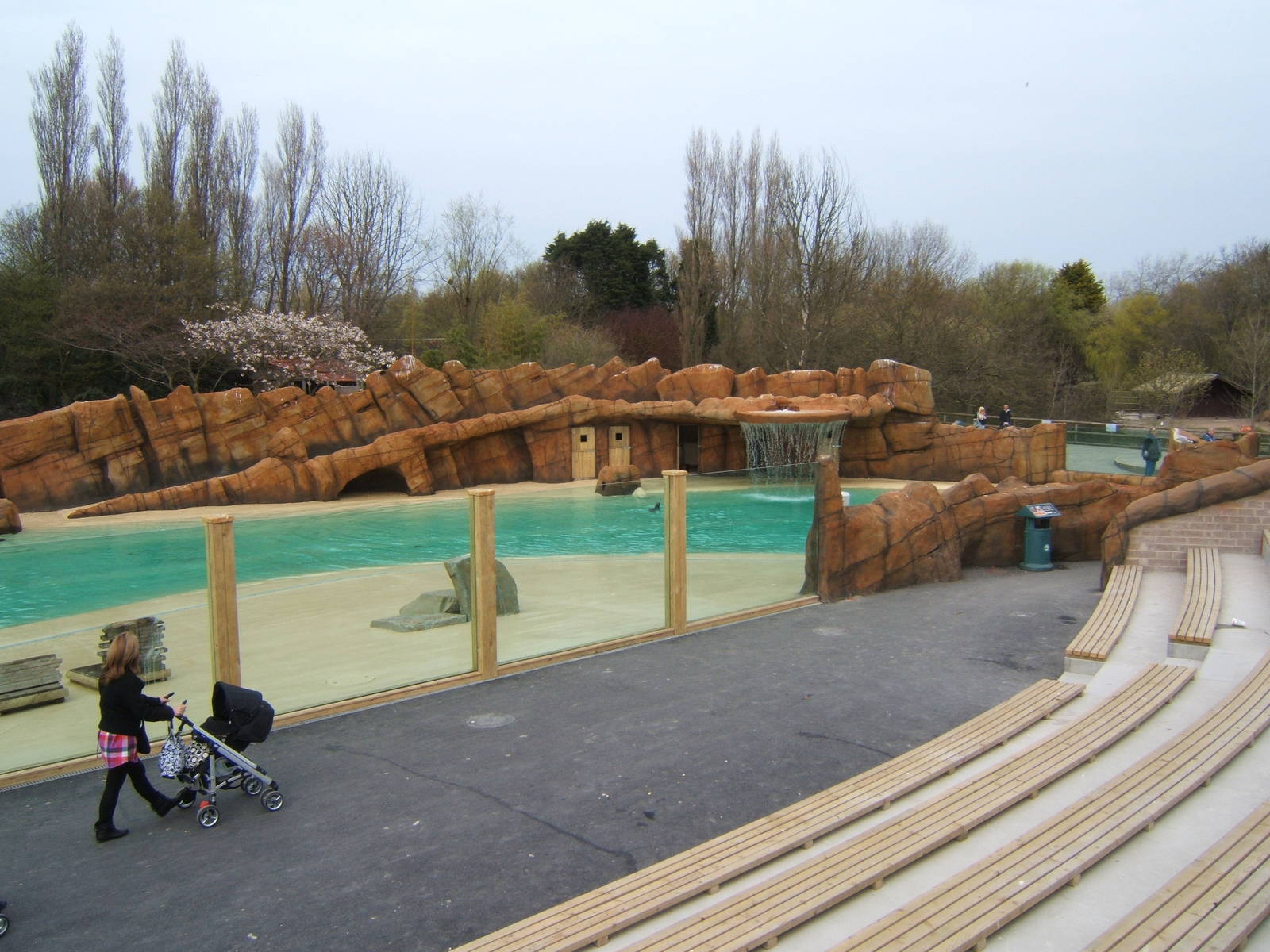 View of Sealion pool