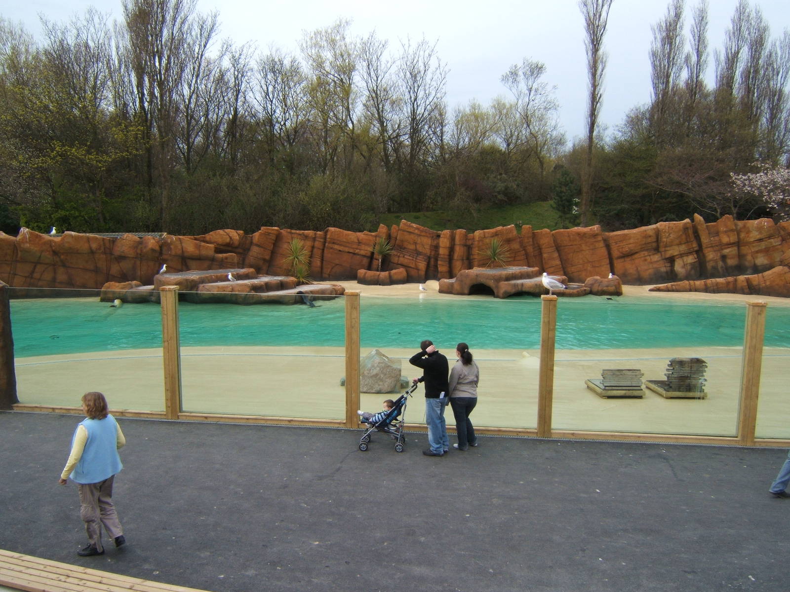 View of Sealion pool