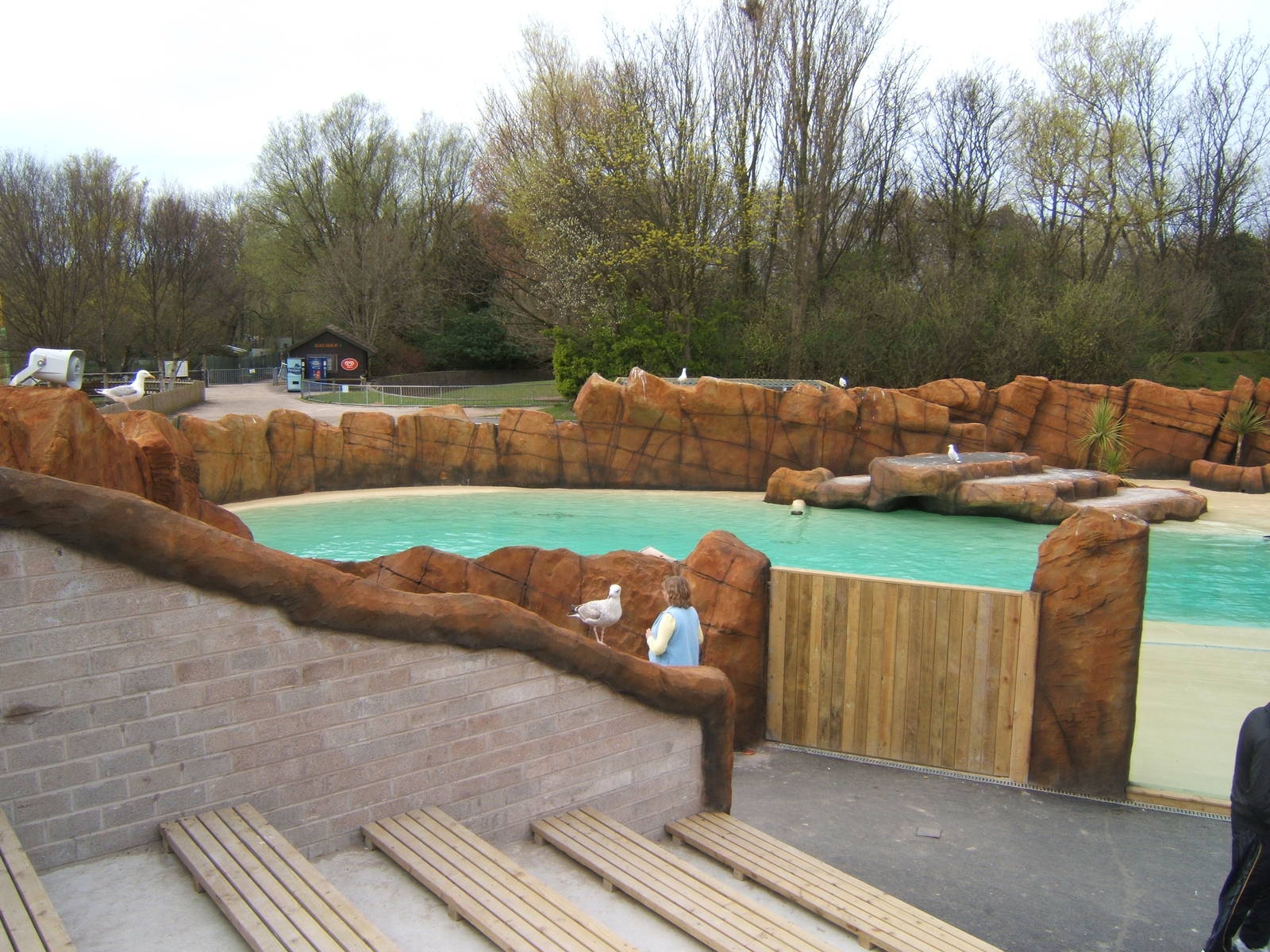 View of Sealion pool