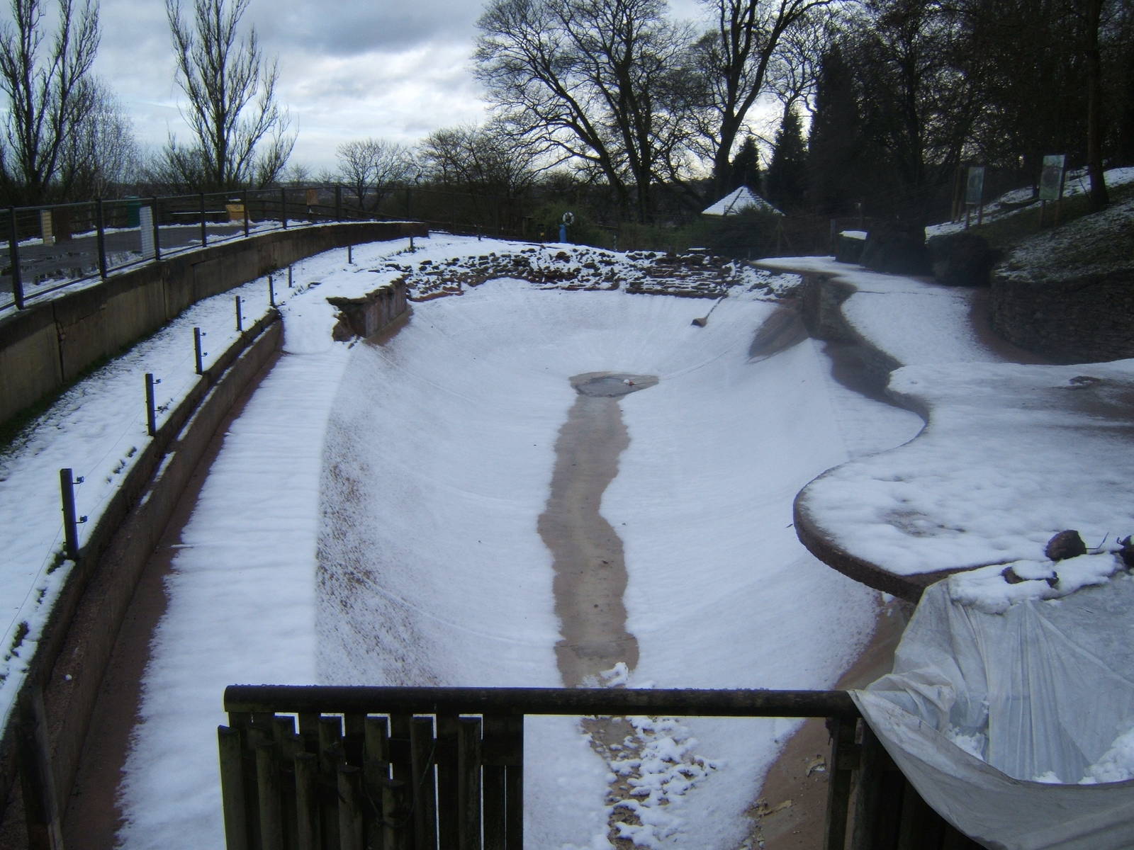 View of Sealion pool