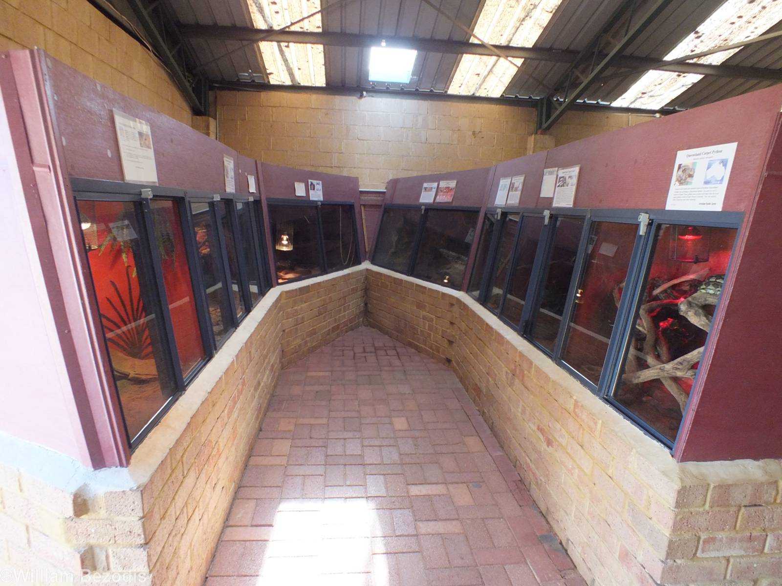 View of Section in Main Reptile Barn