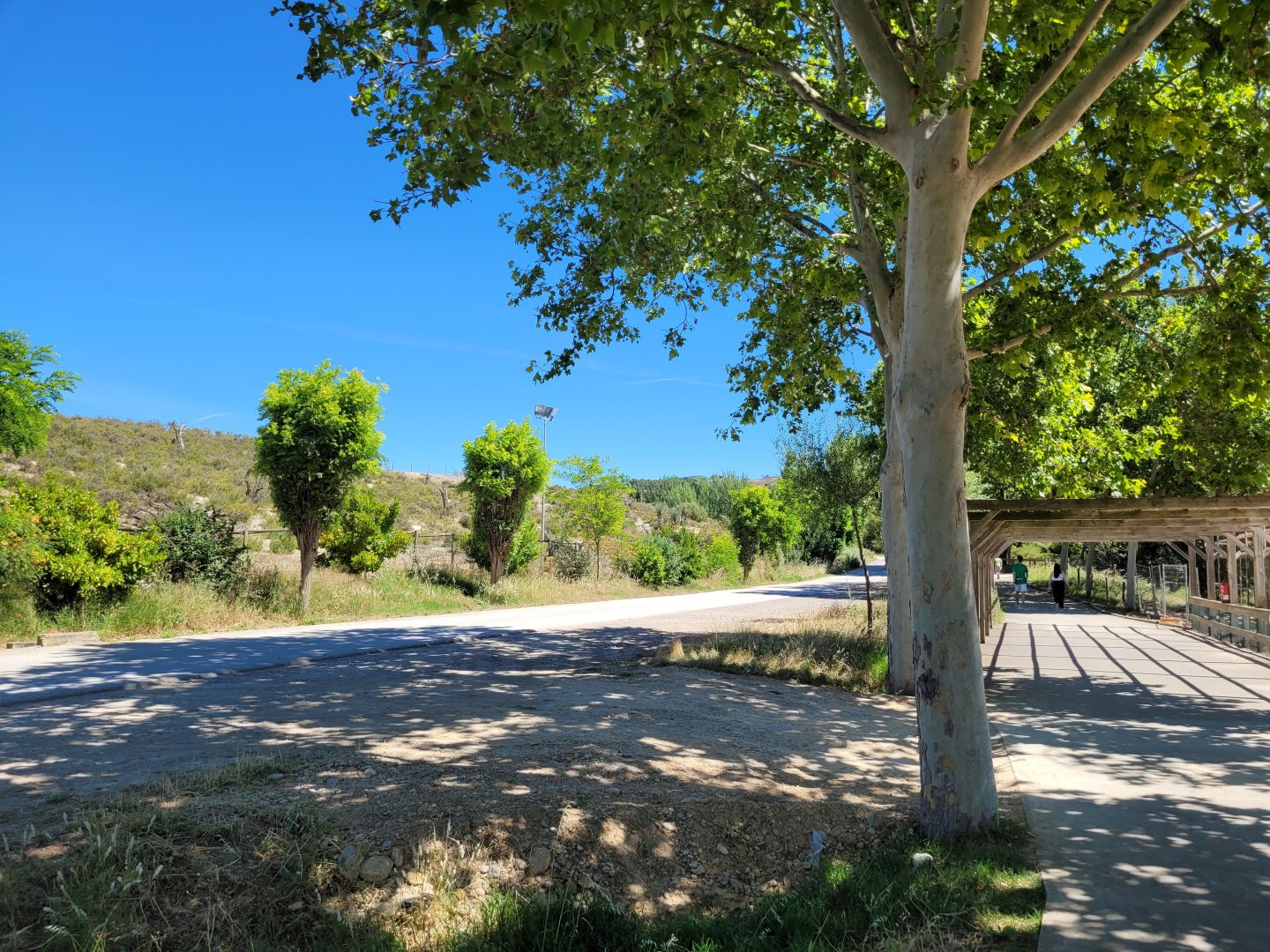 View of "Senda Ganadera" -Sendaviva (2024)