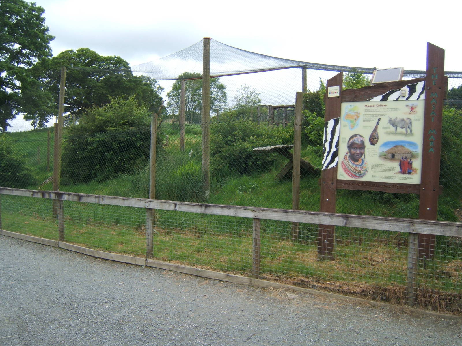 View of Serval enclosure