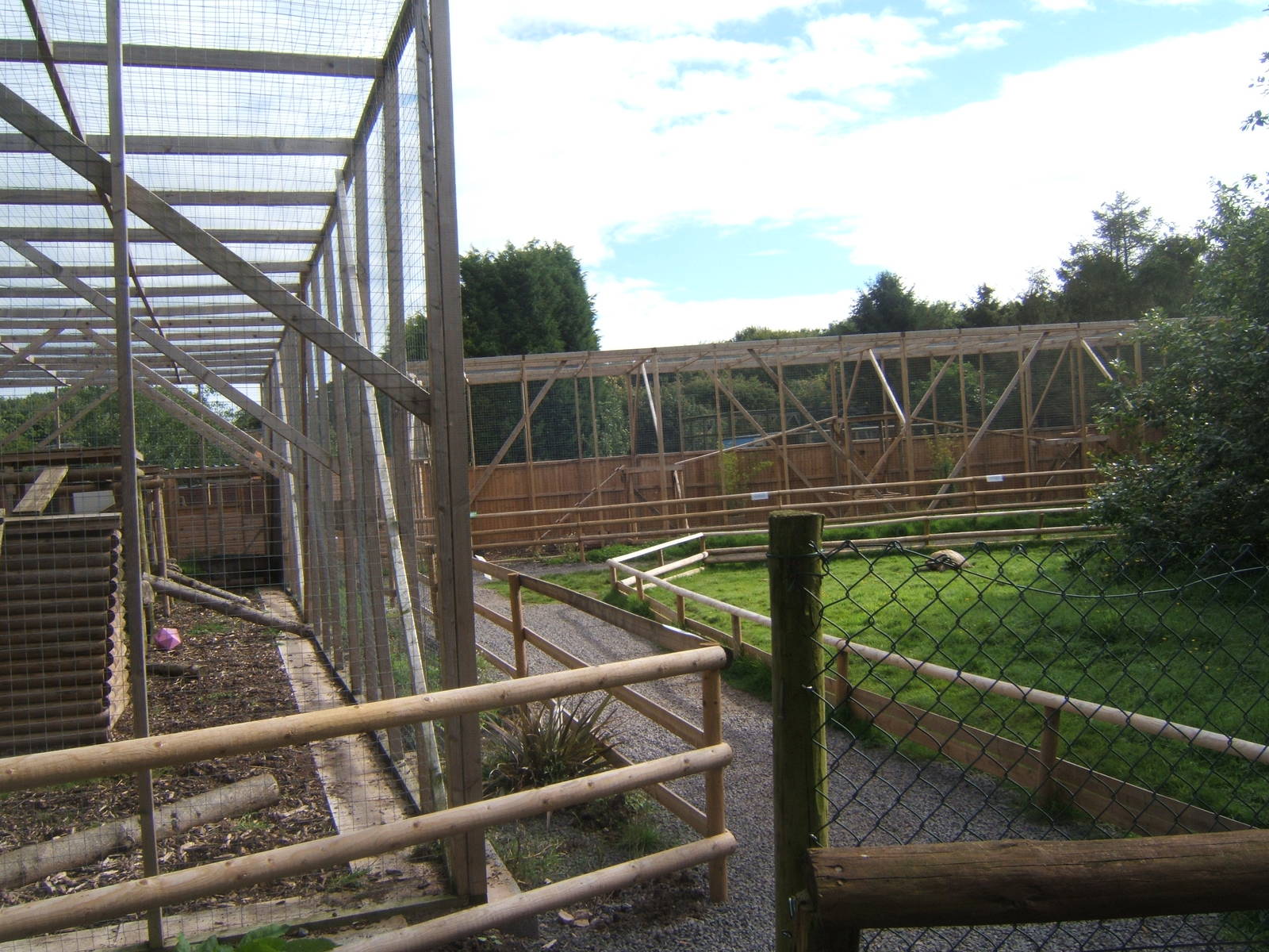 View of Serval exhibit on left and Caracal straight ahead