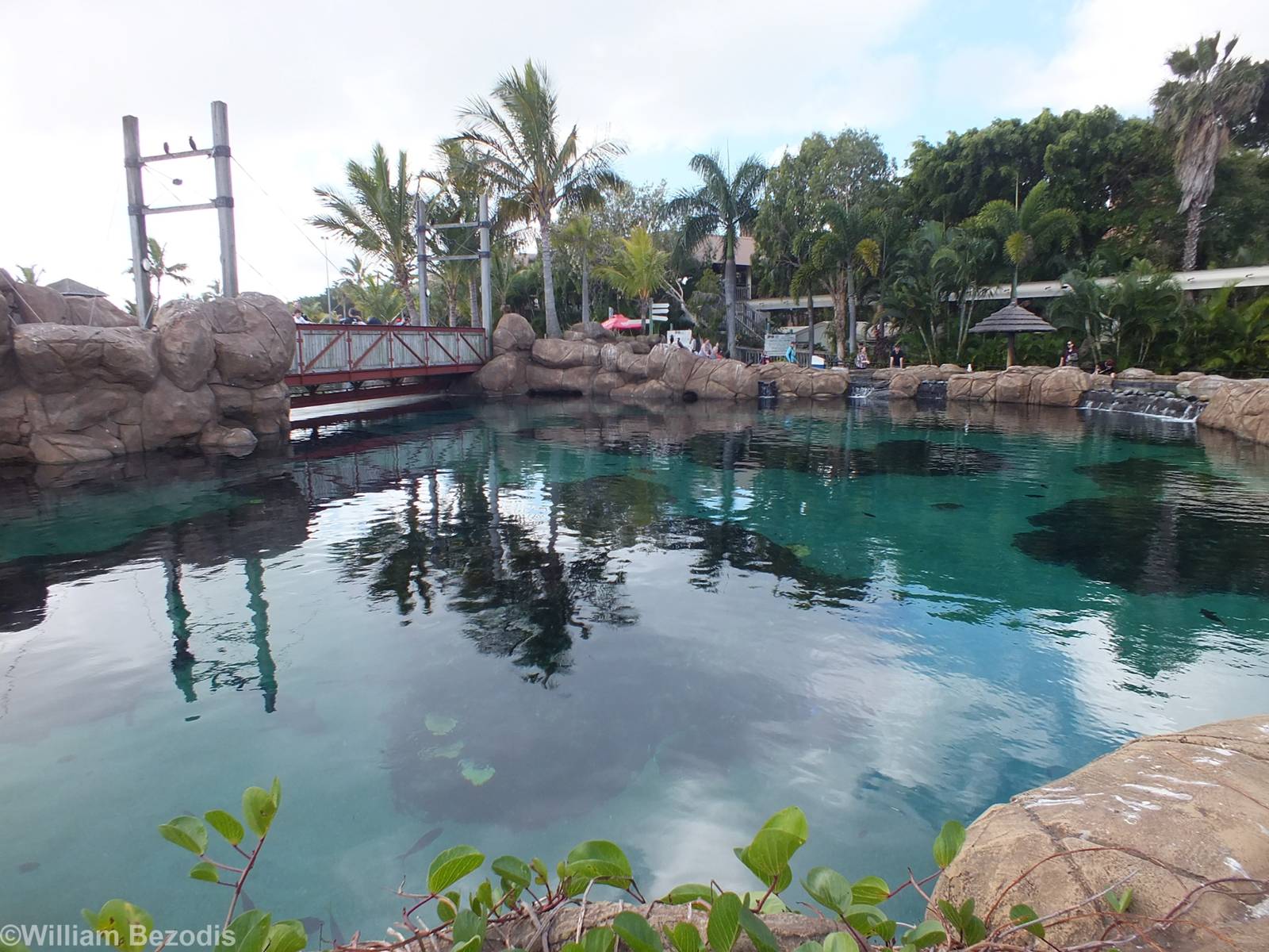 View of Shark Bay from Above