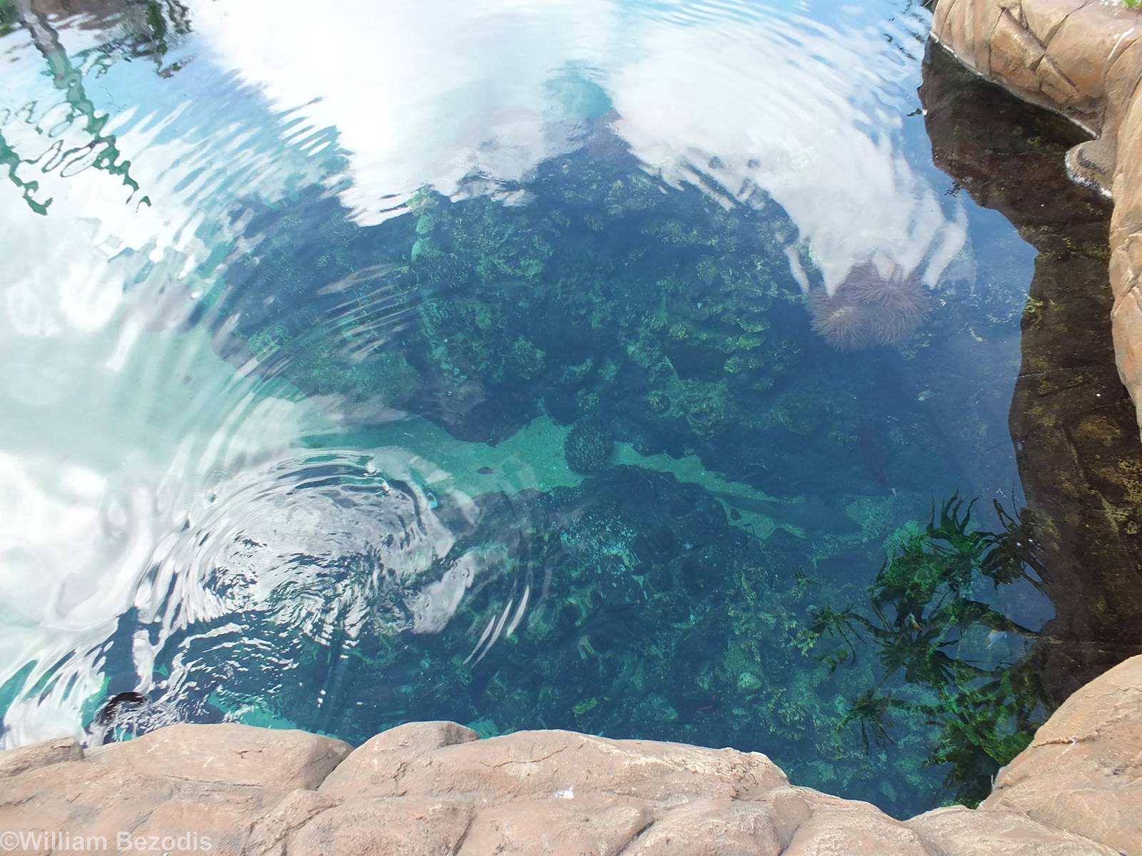 View of Shark Bay from Above