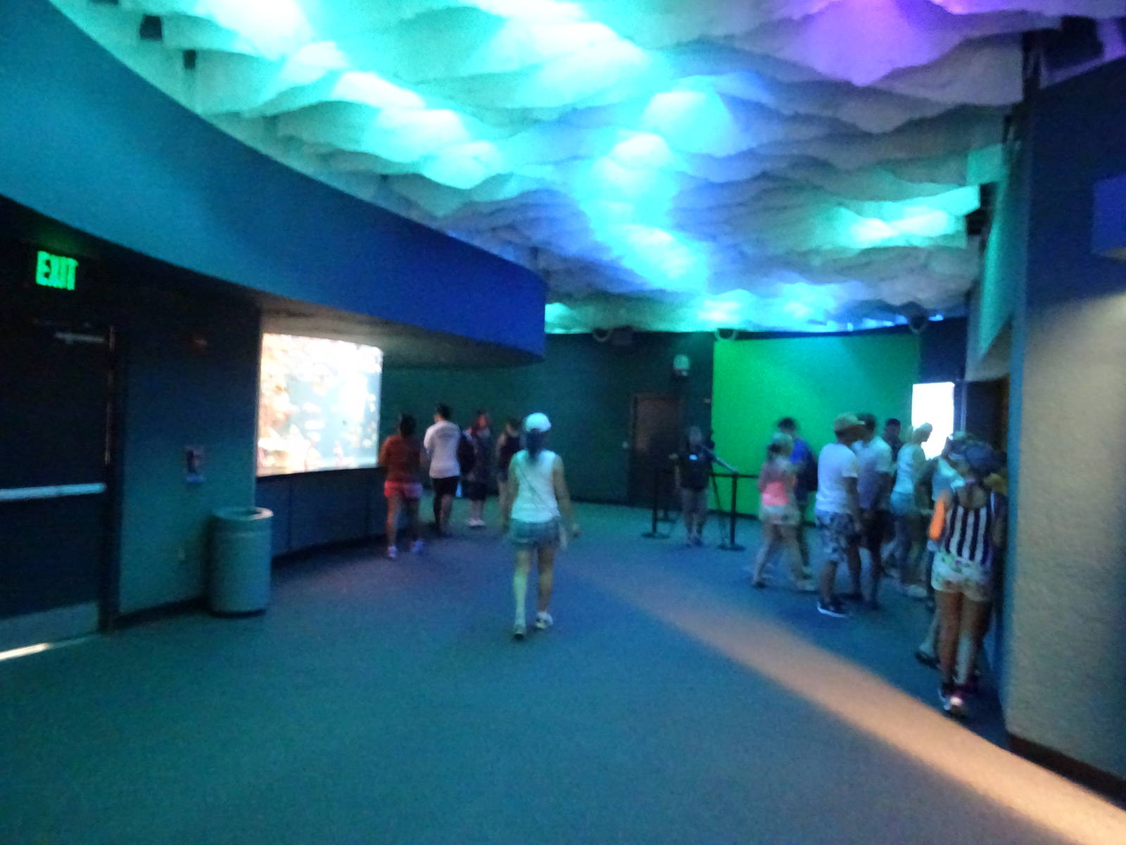 View of Shark Encounter at SeaWorld Orlando