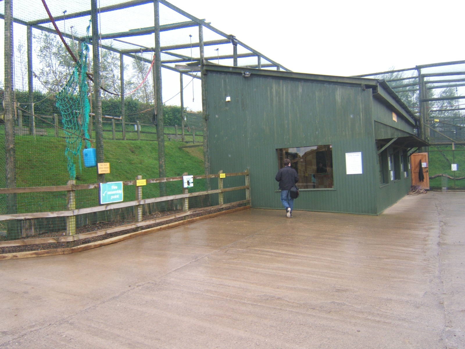 View of Siamang and Ring-tailed Lemur House