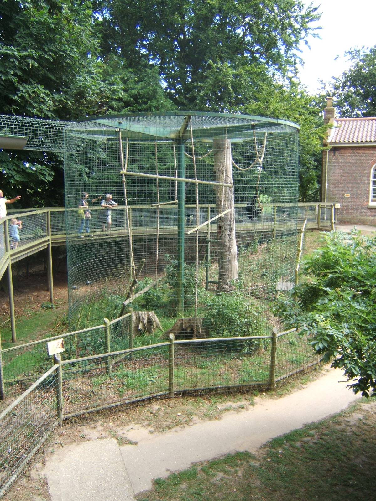 View of Siamang enclosure and raised walk way