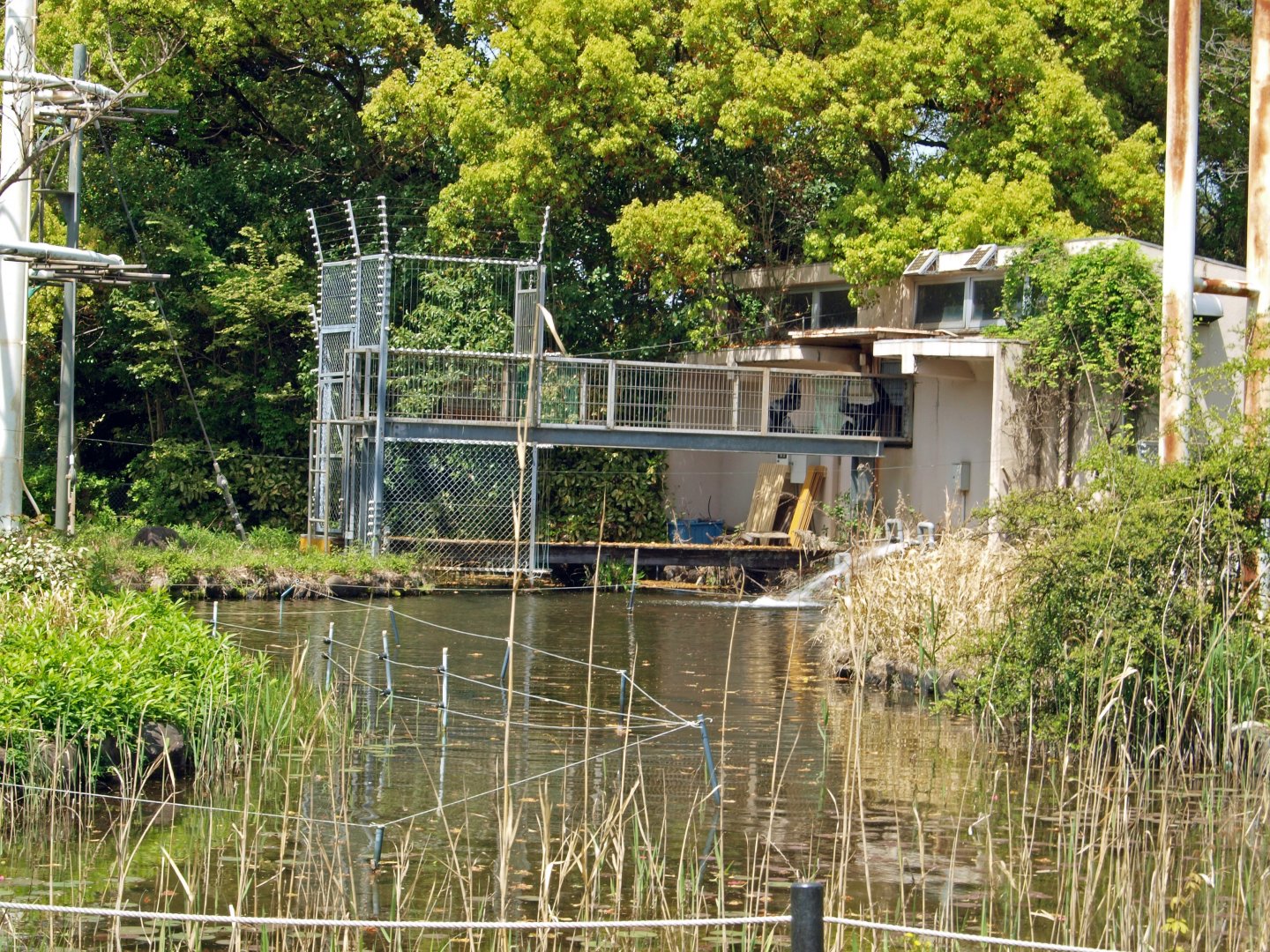 View of siamang island