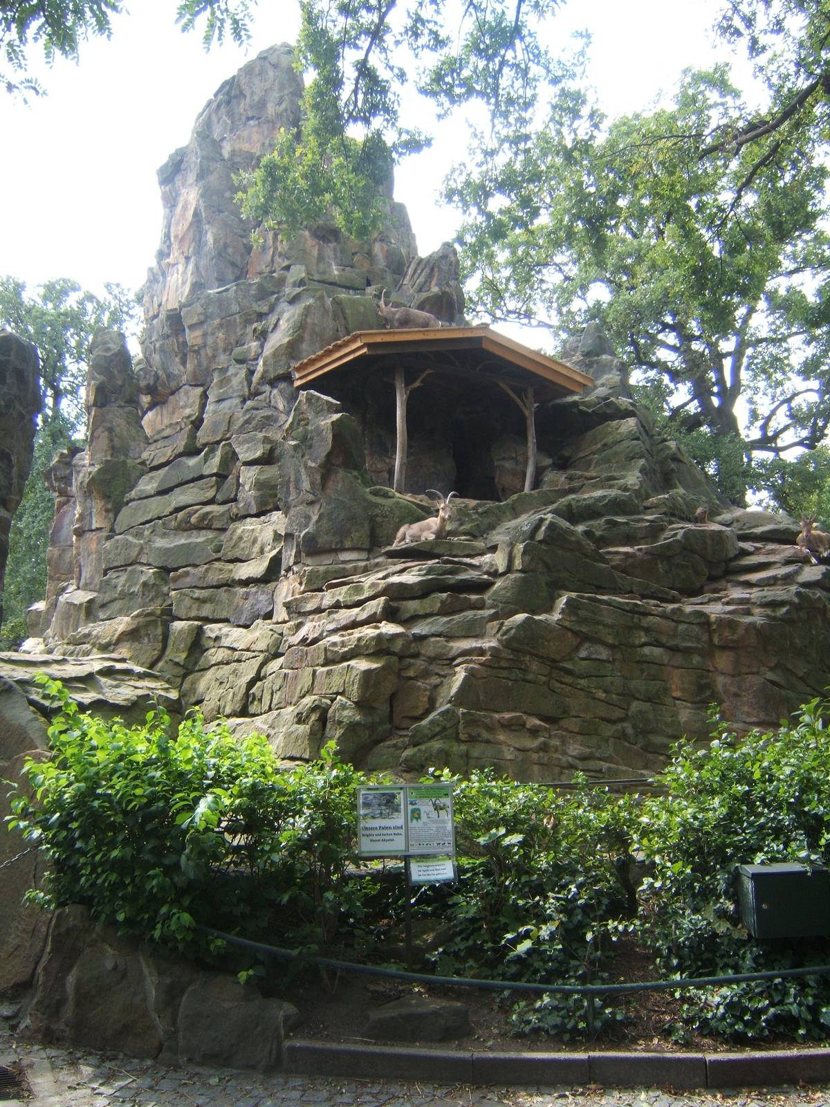 View of Siberian Ibex enclosure