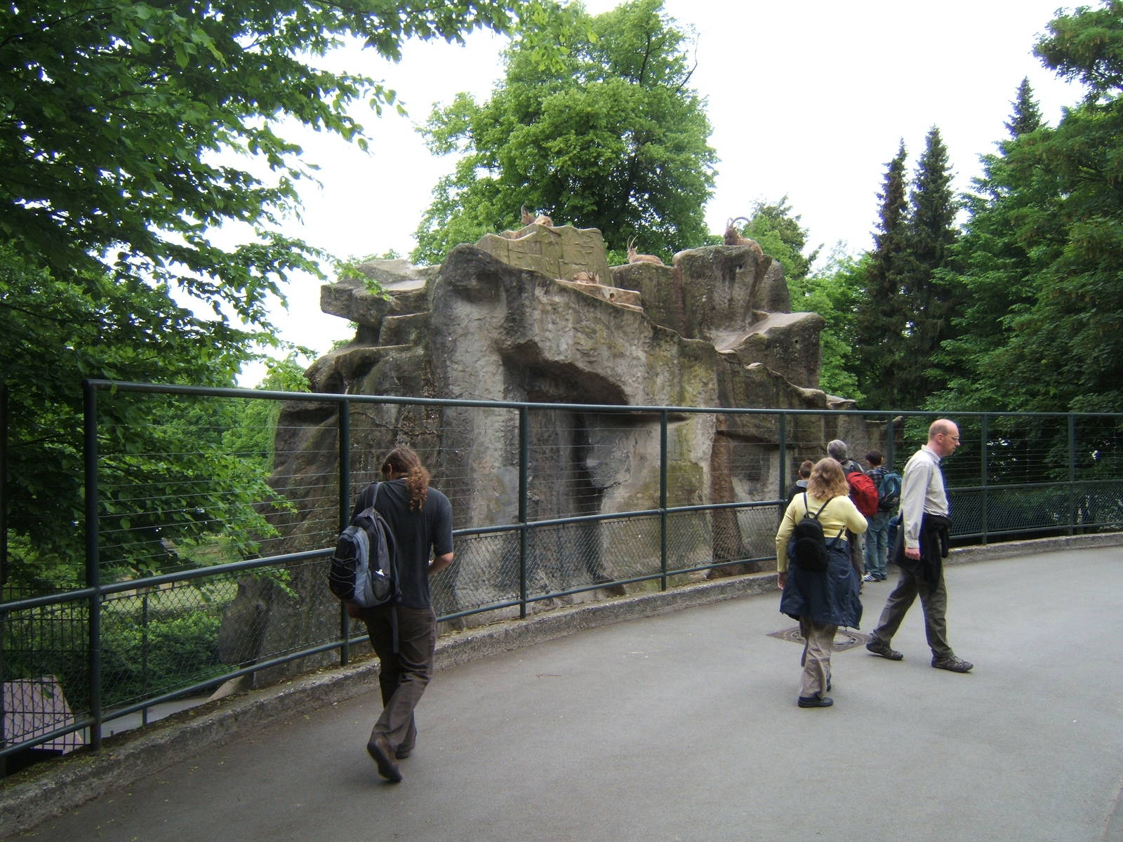 View of Siberian Ibex enclosure