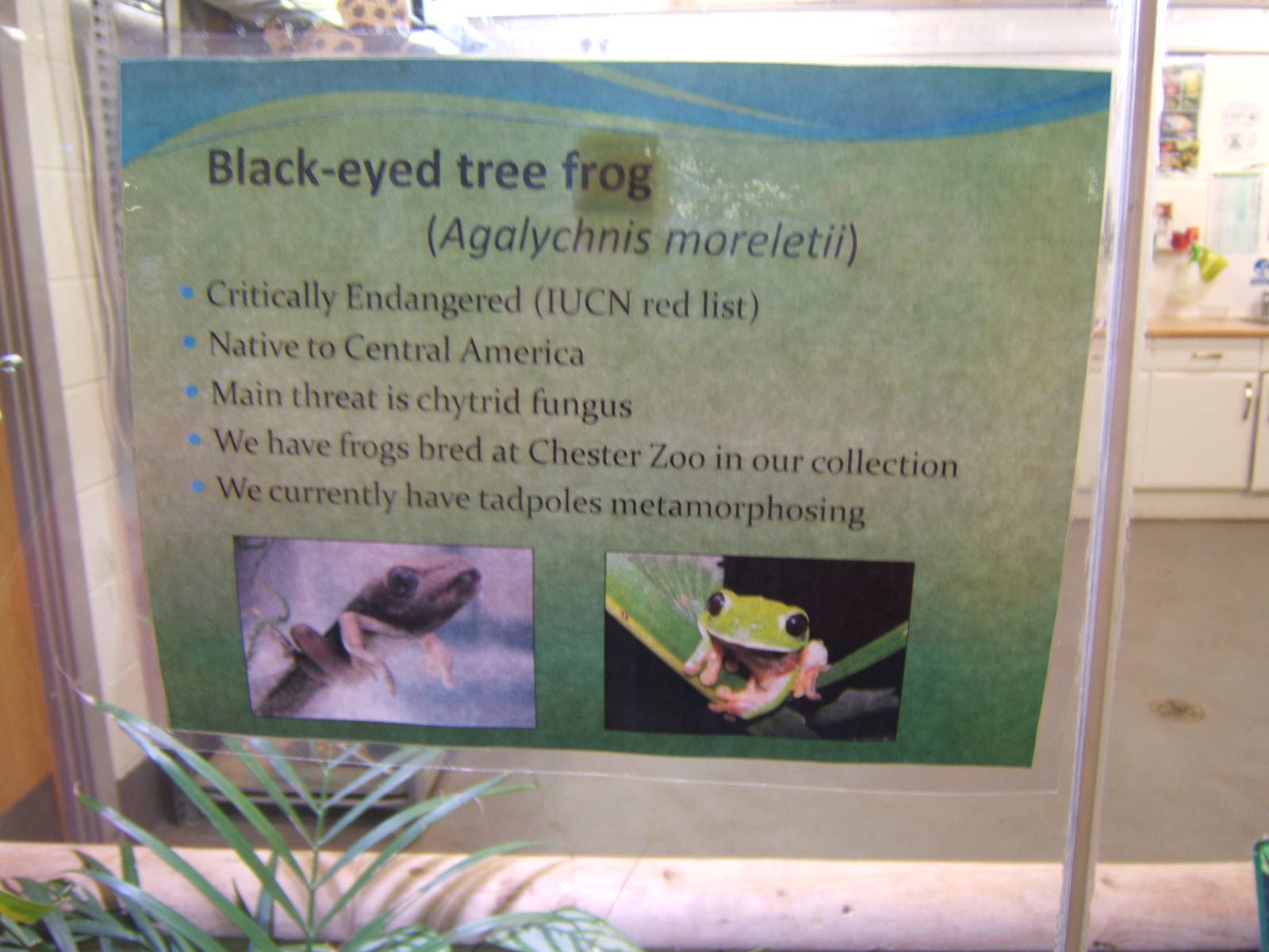 View of sign about new arrivals