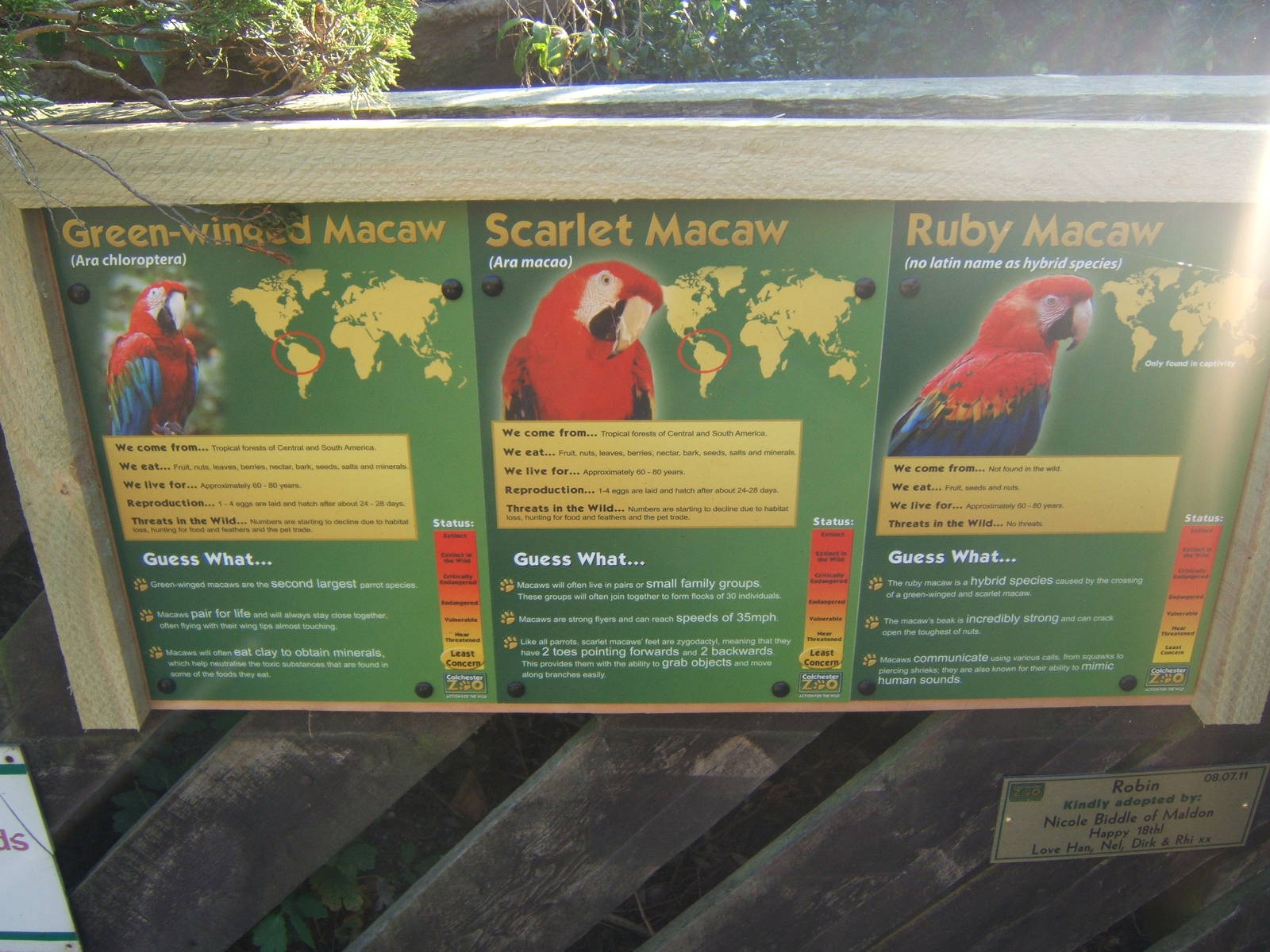 View of sign for the Macaws in the Parrot Walk