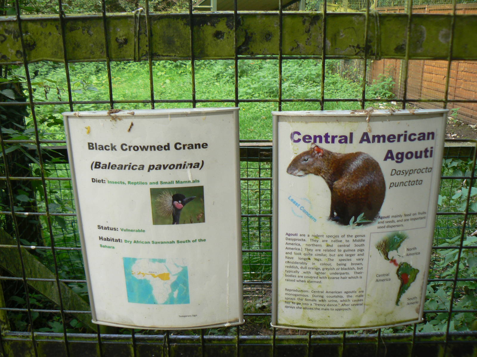 View of Signage - 17 September 2016