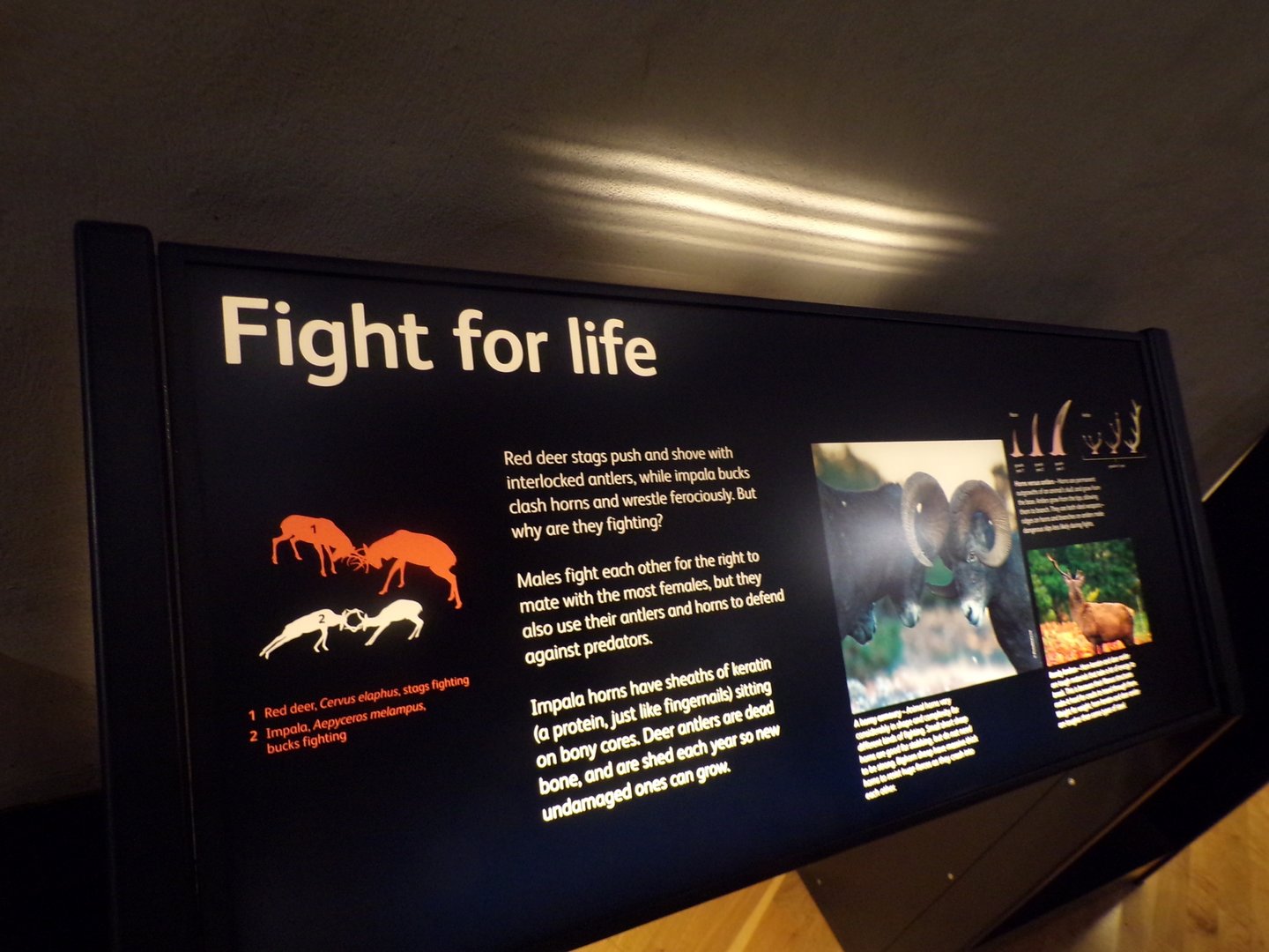 View of signage 30.12.22