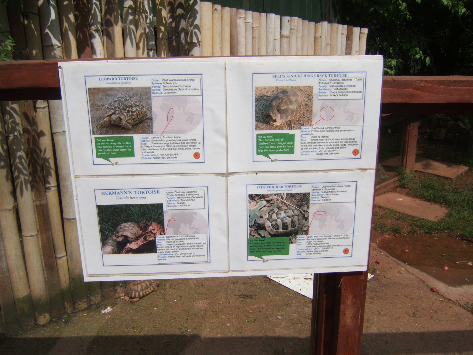 View of signage for the Tortoise enclosure
