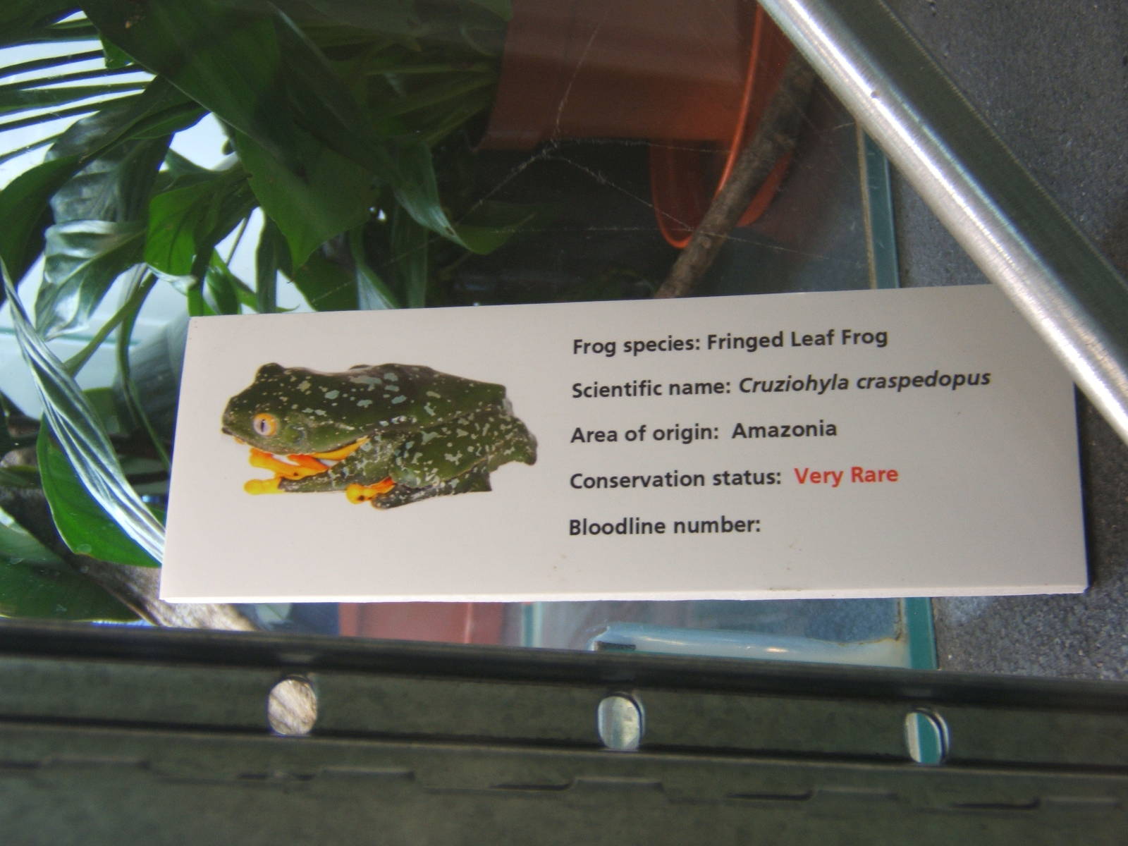 View of signage style for amphibian breeding room