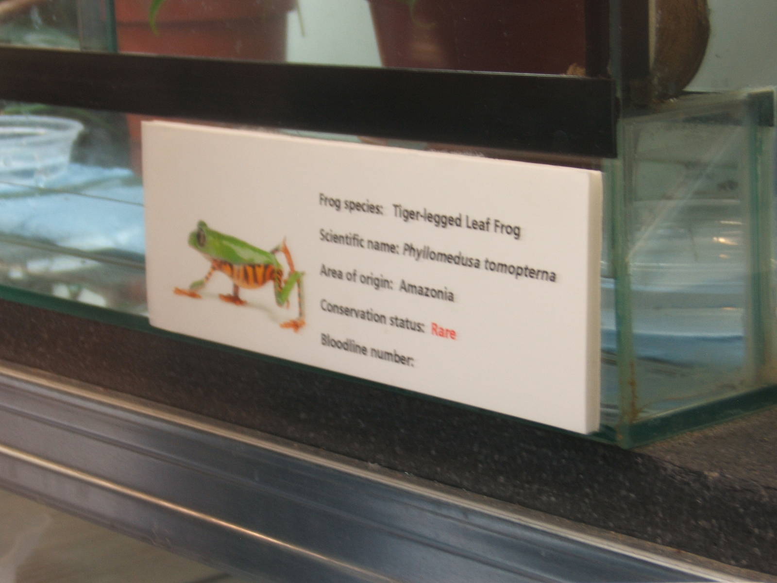 View of signage style for amphibian breeding room