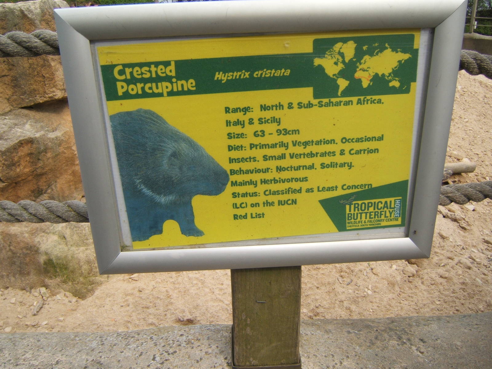 View of signage style