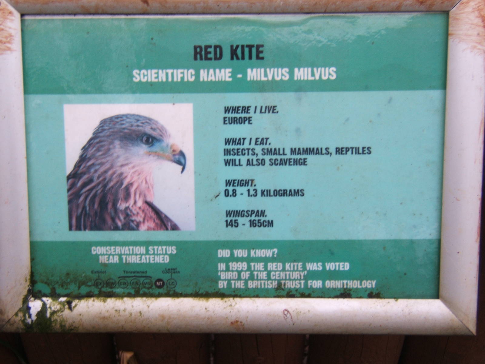 View of signage style