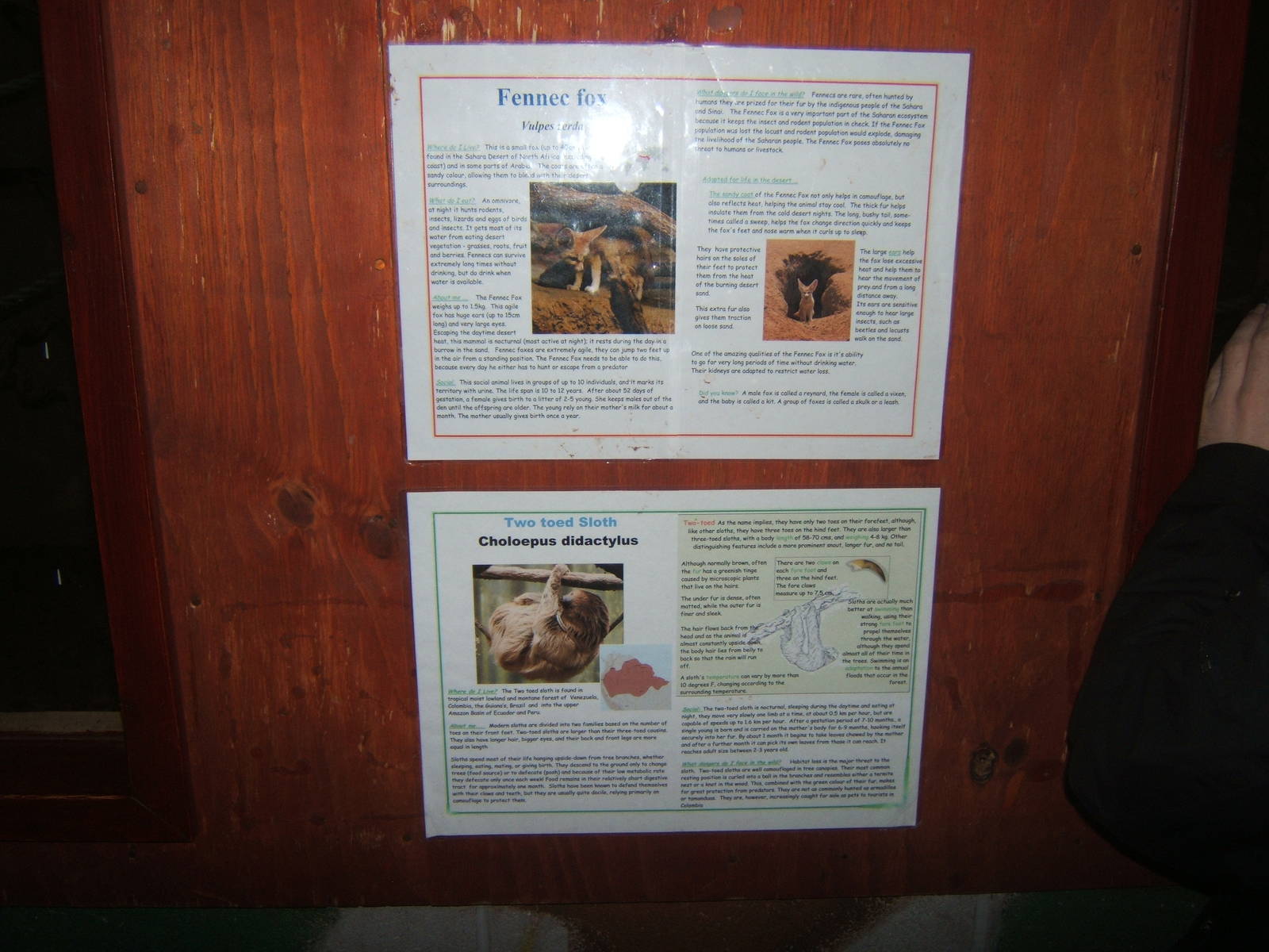 View of signs for a new mixed exhibit in the primate house
