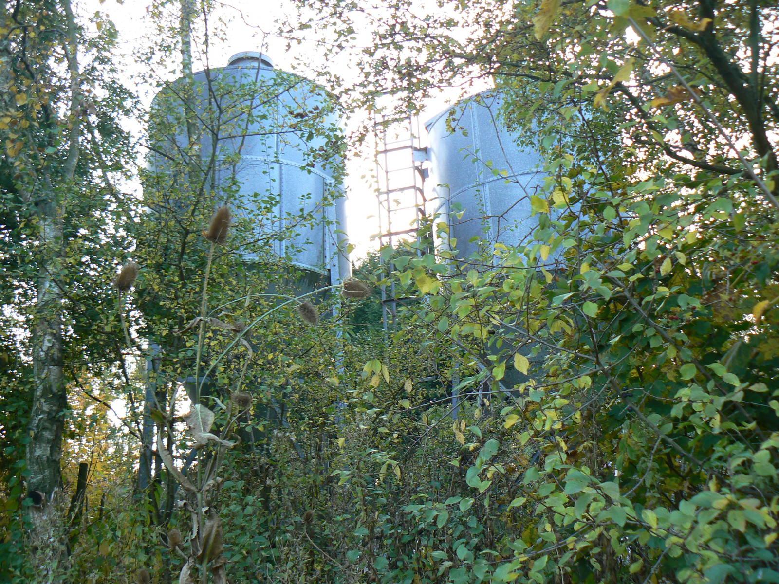 View of Silos- 26 October 2015