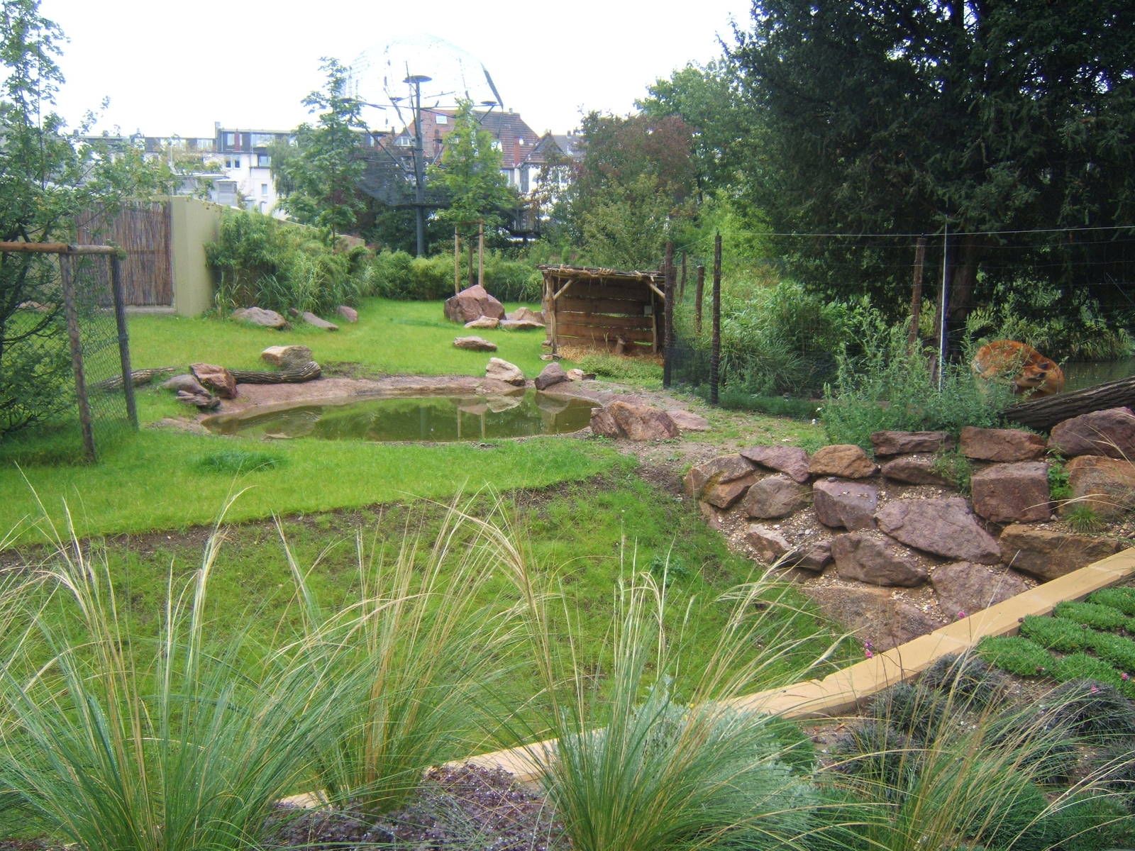 View of Sitatunga enclosure