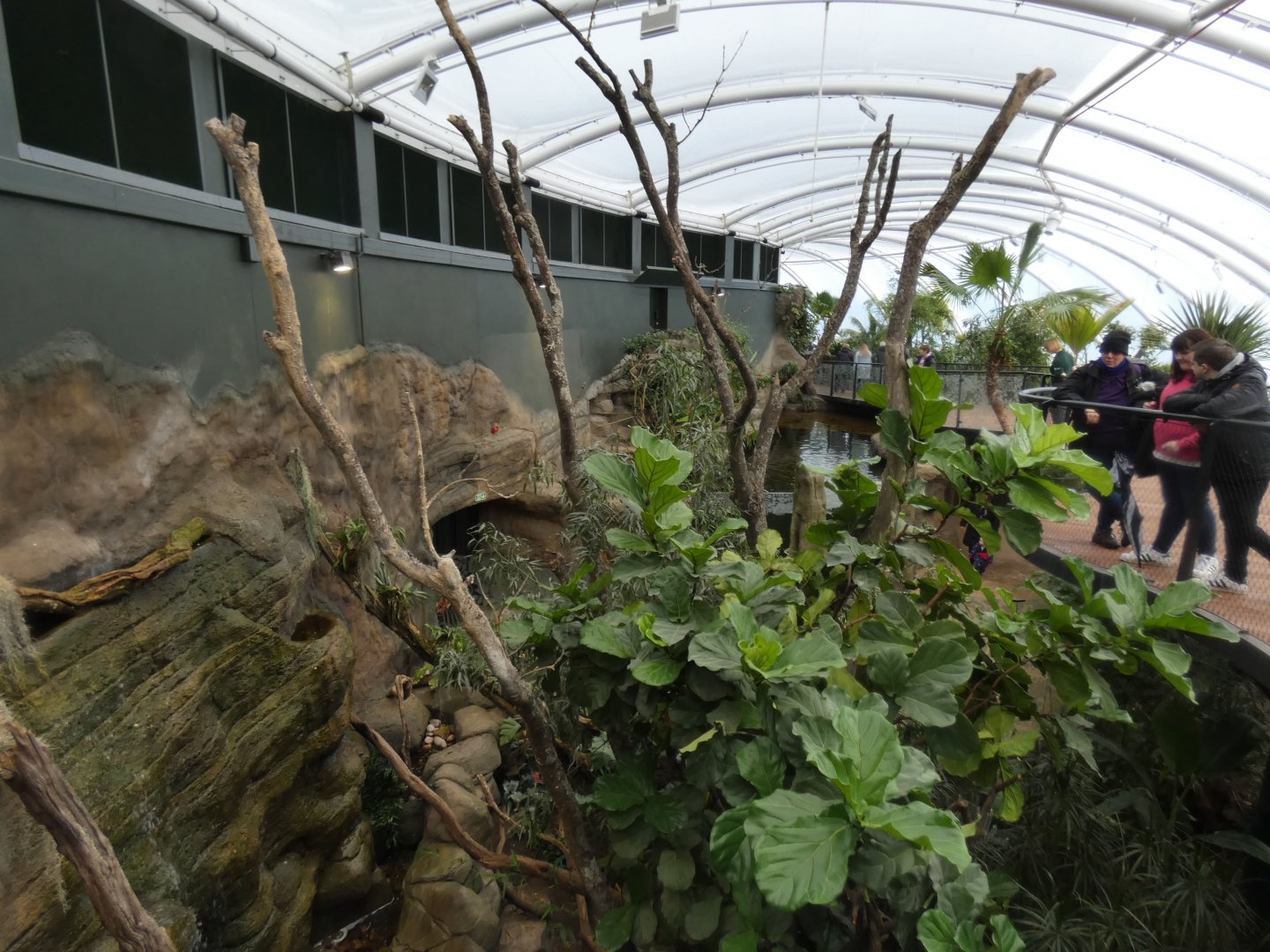 View of Sloth enclosure in new Tropical House