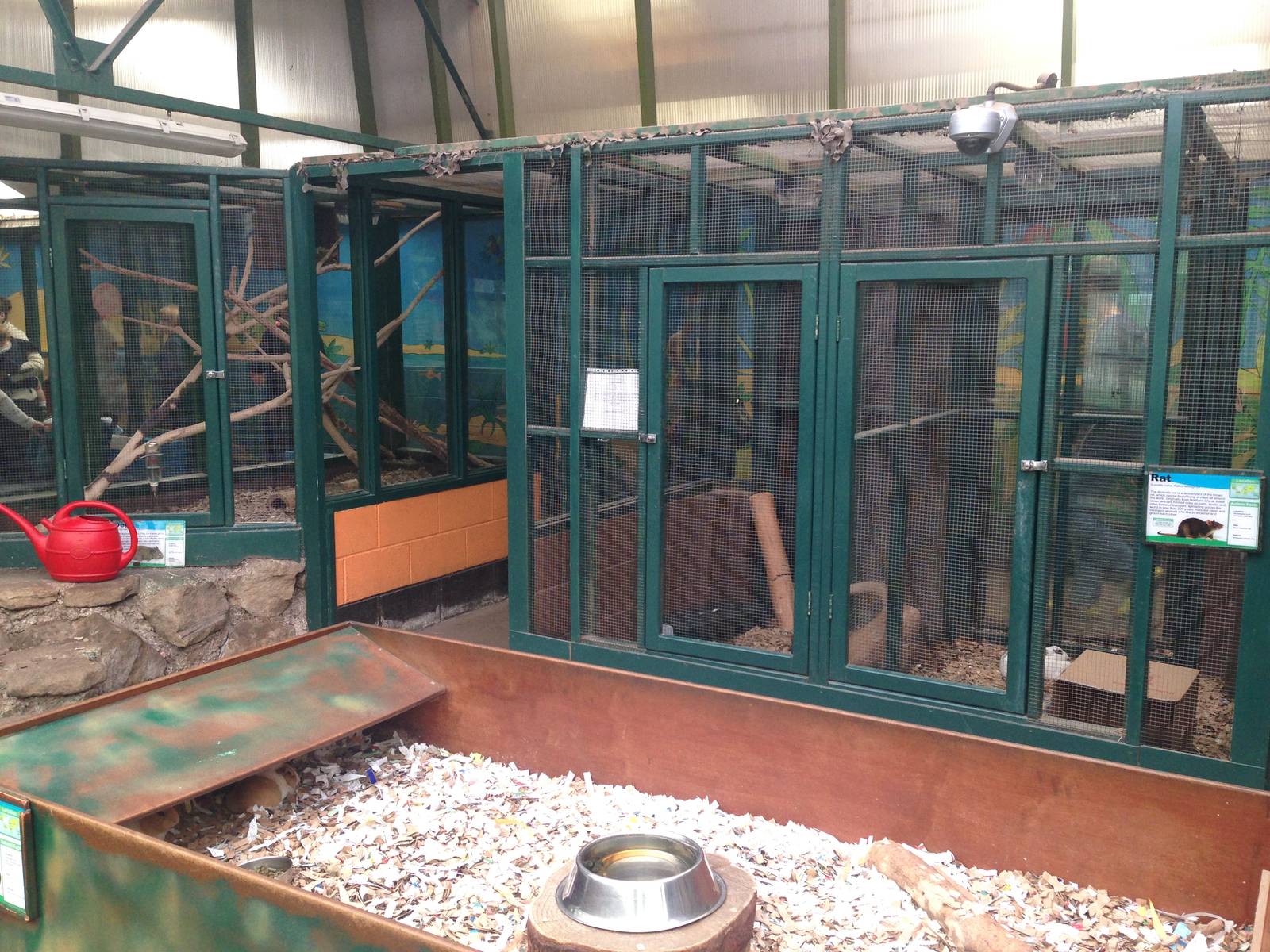 View of Small Animal Exhibits at Ponderosa Rural Thereapeutic Centre