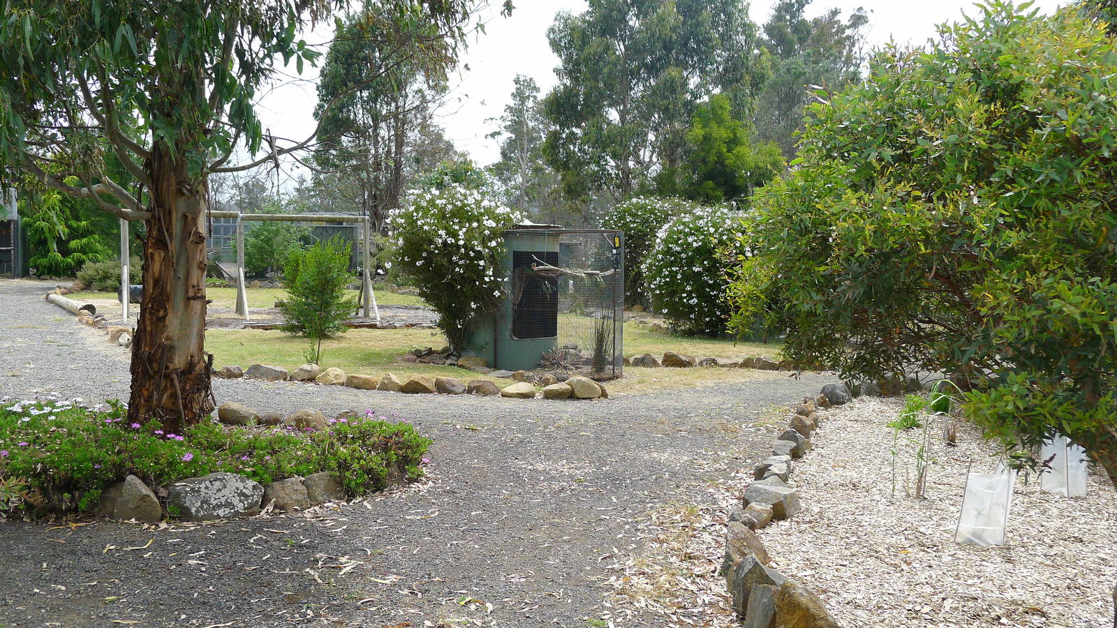 view of small avairy