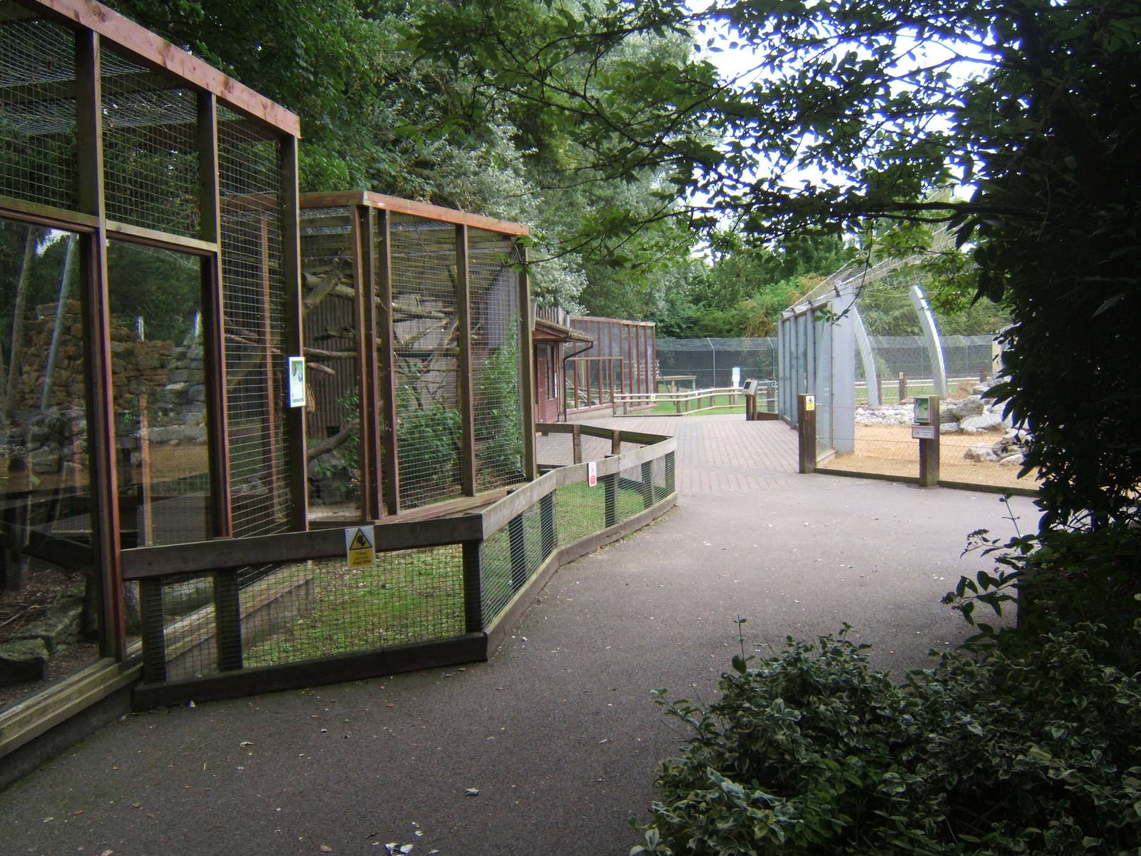 View of small cat row