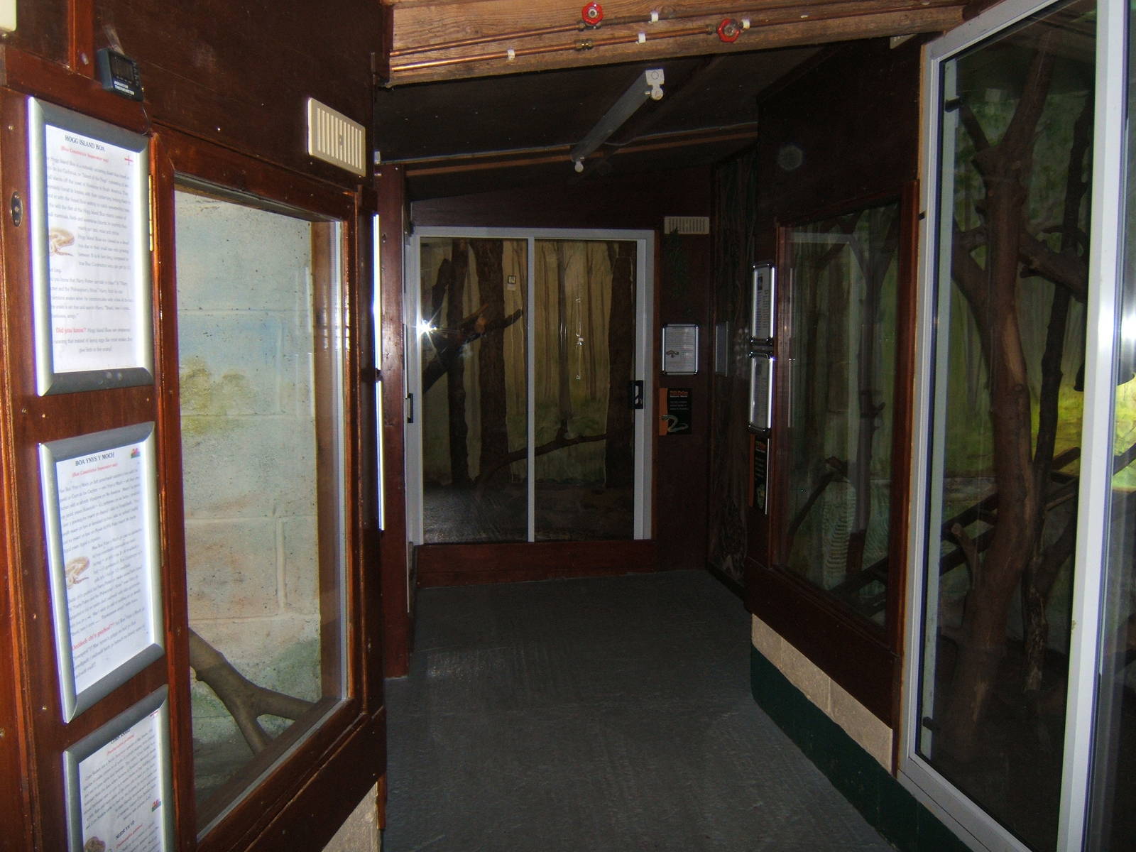 View of Snake room