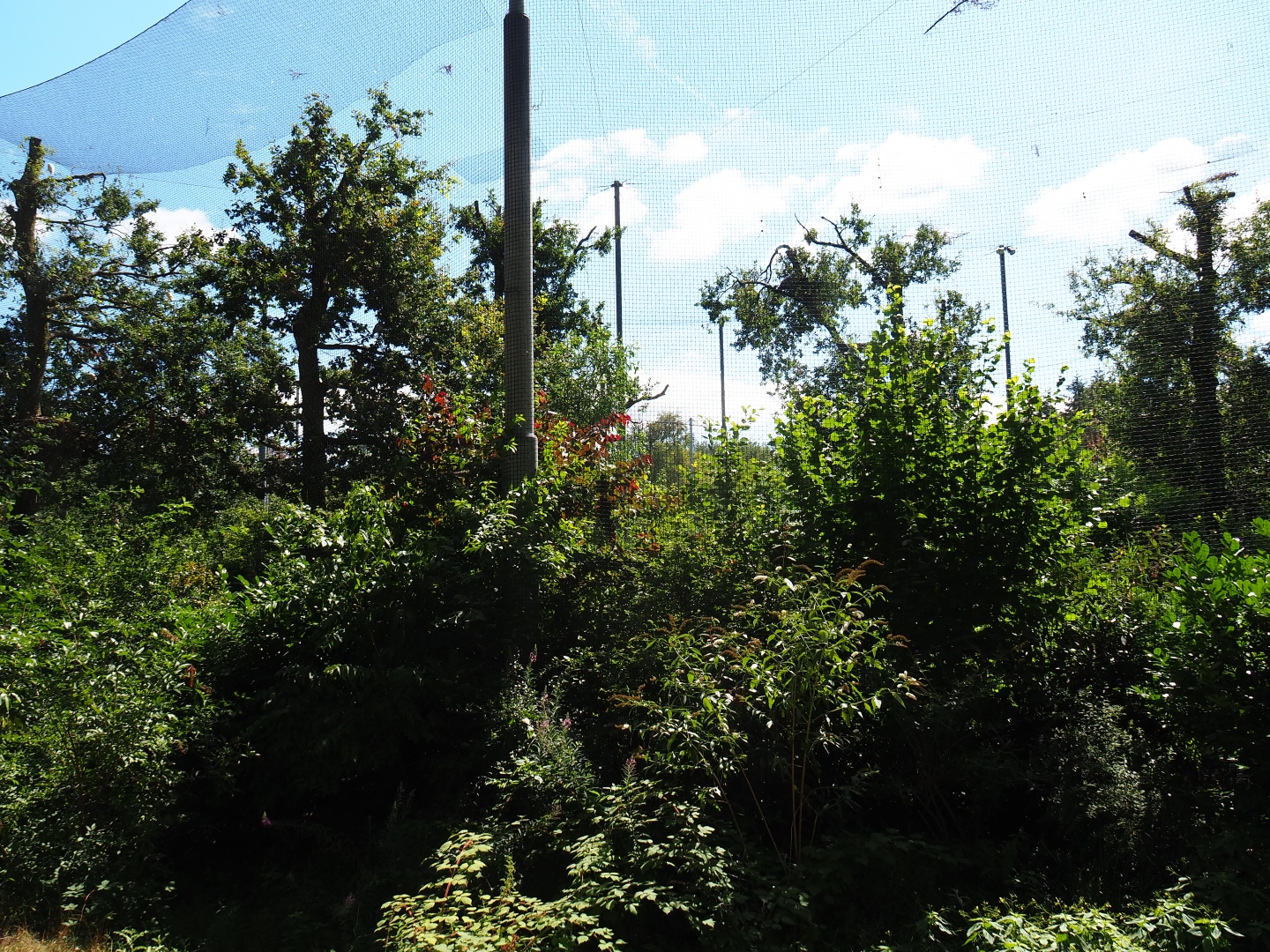 View of SnavelRijk aviary from the outside