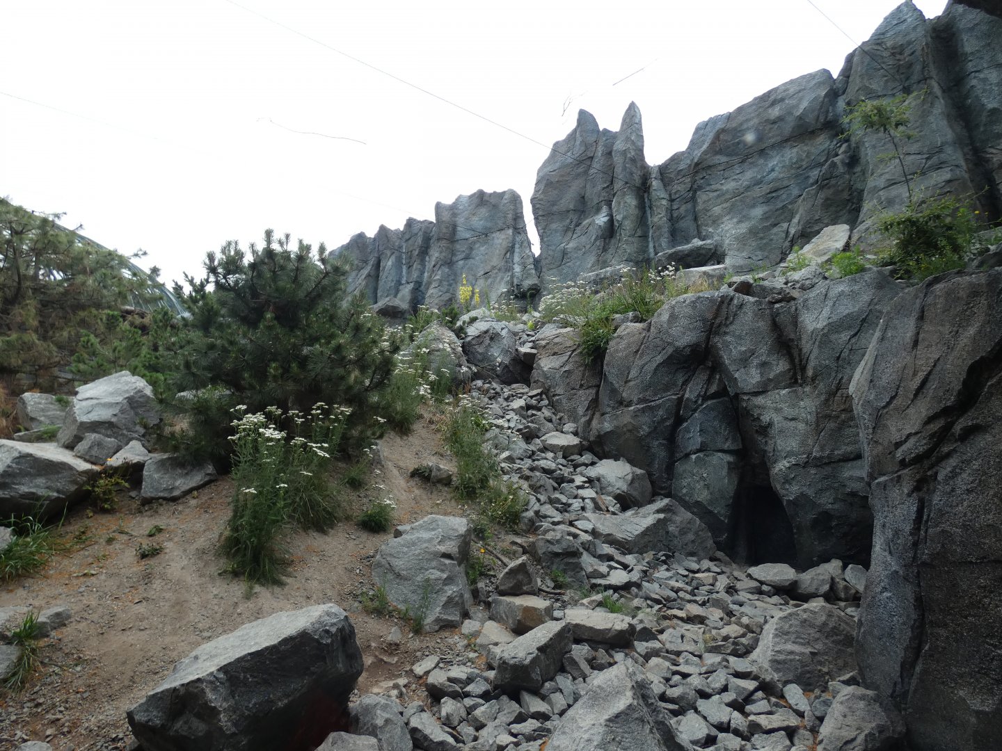 View of Snow Leopard enclosure (2)