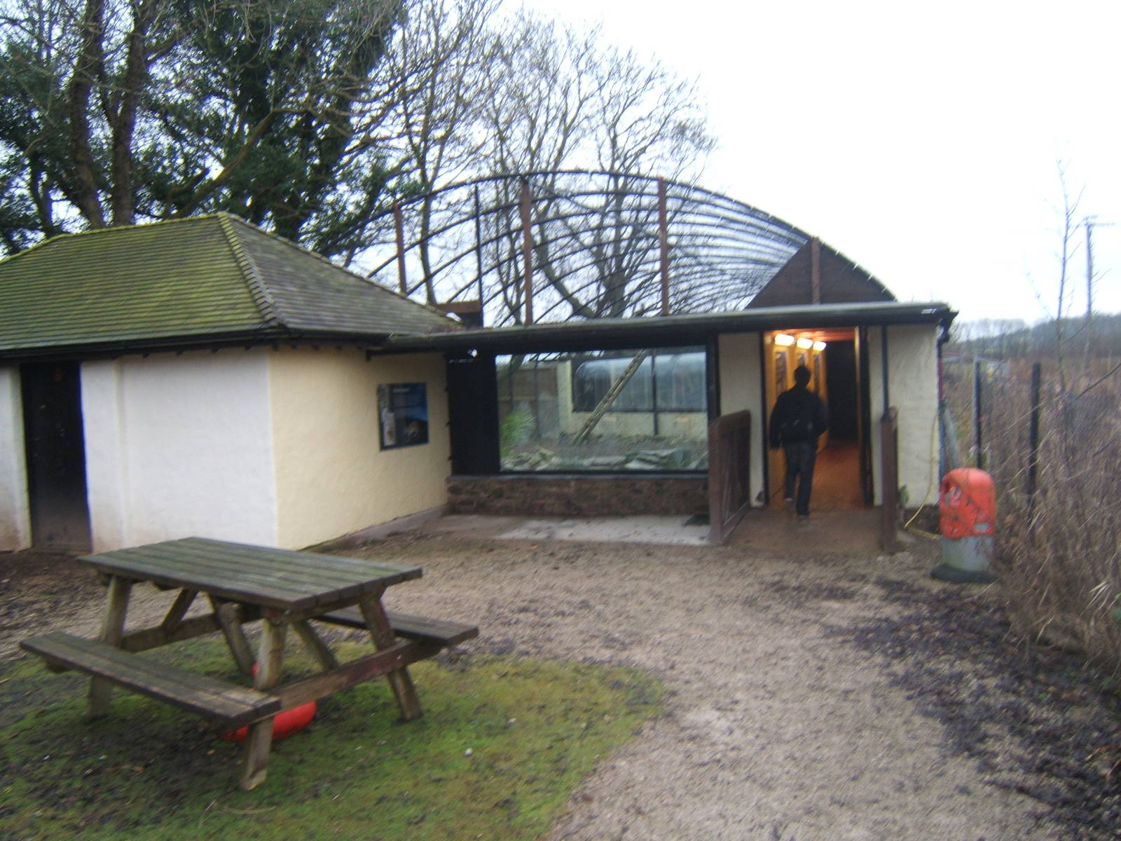 View of Snow Leopard enclosure