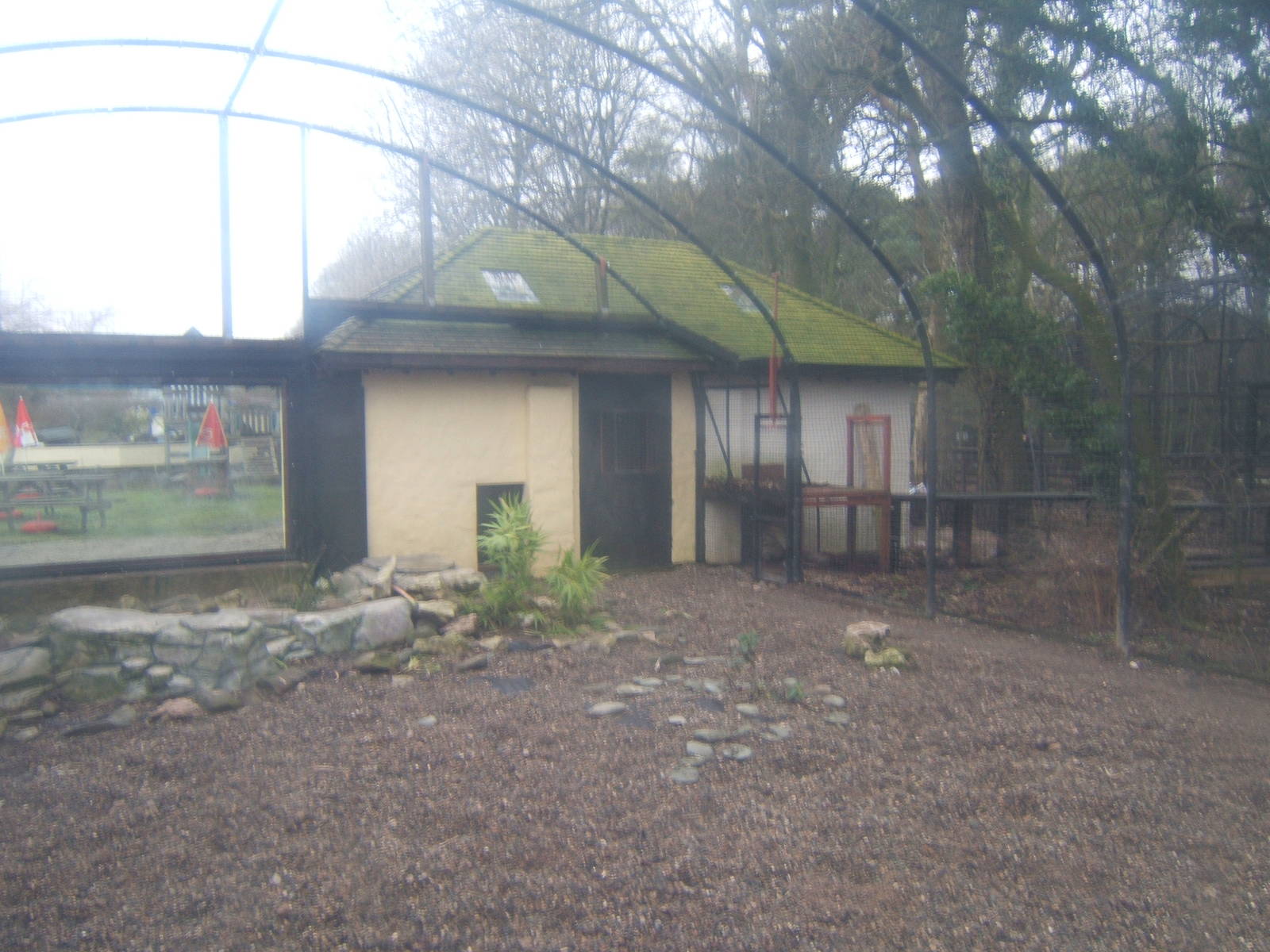 View of Snow Leopard enclosure