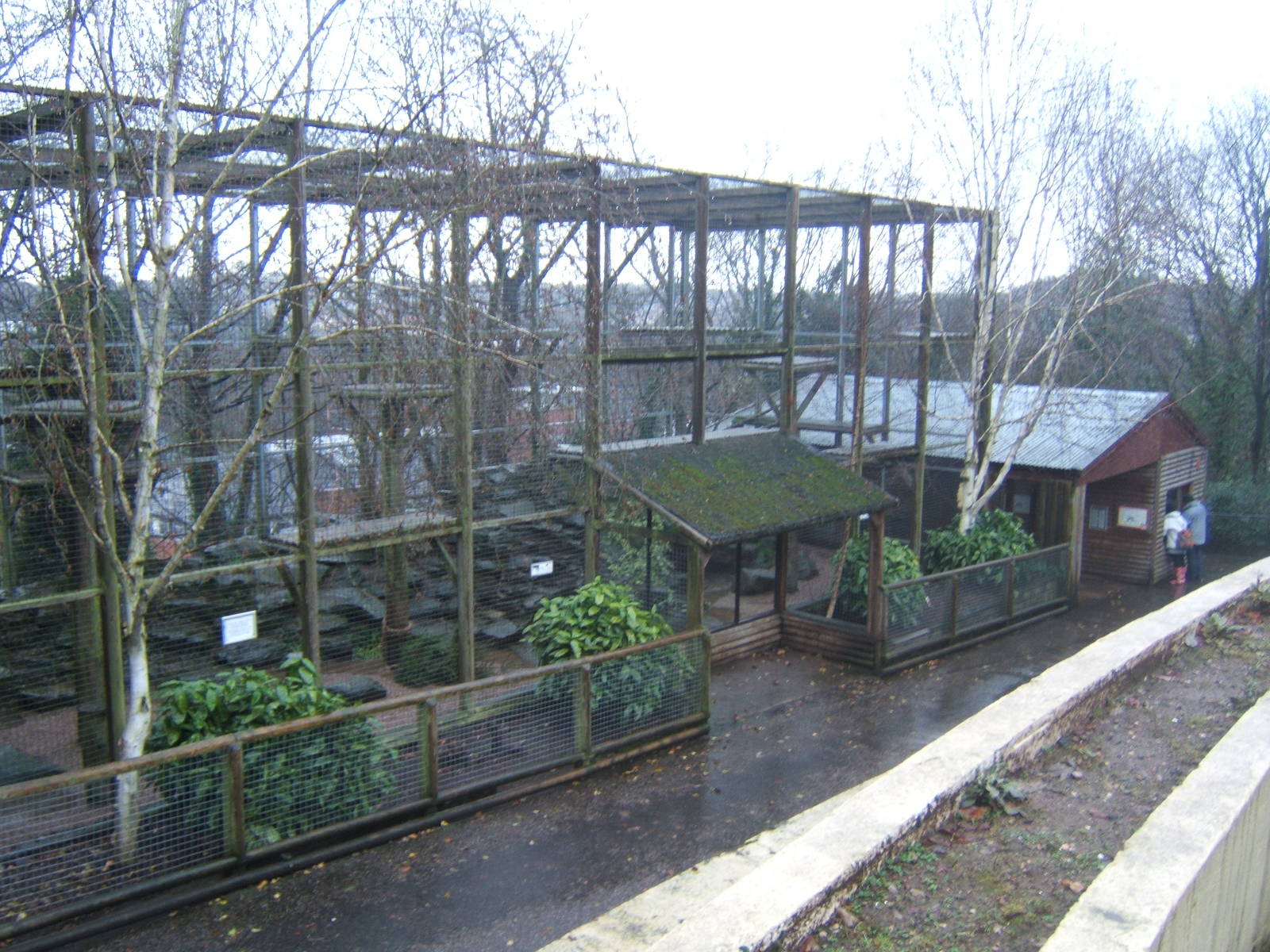 View of Snow Leopard enclosure