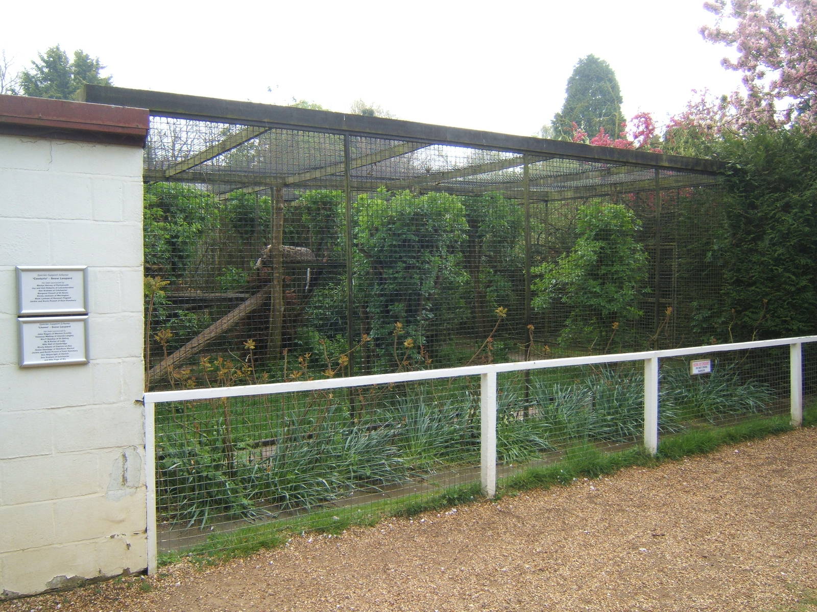 View of Snow Leopard enclosure
