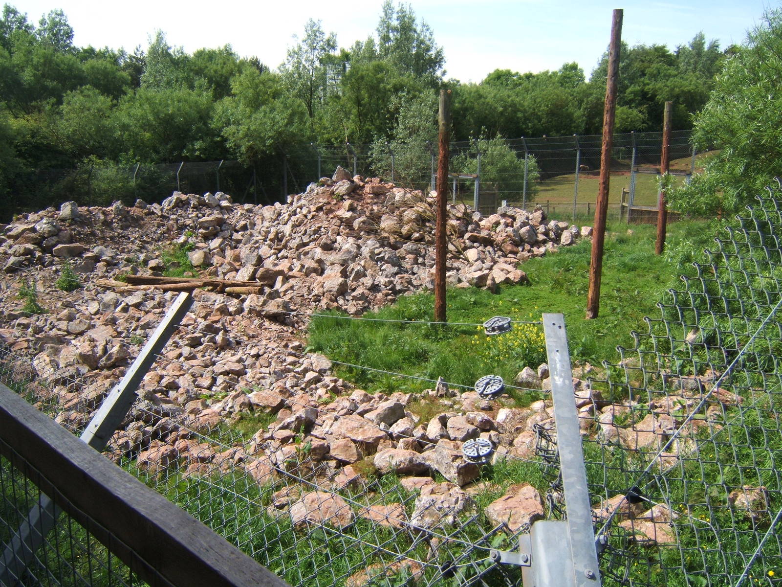 View of Snow Leopard enclosure