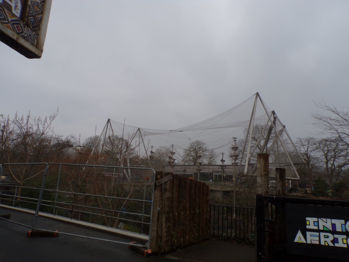 View of Snowdon aviary 11.2.25
