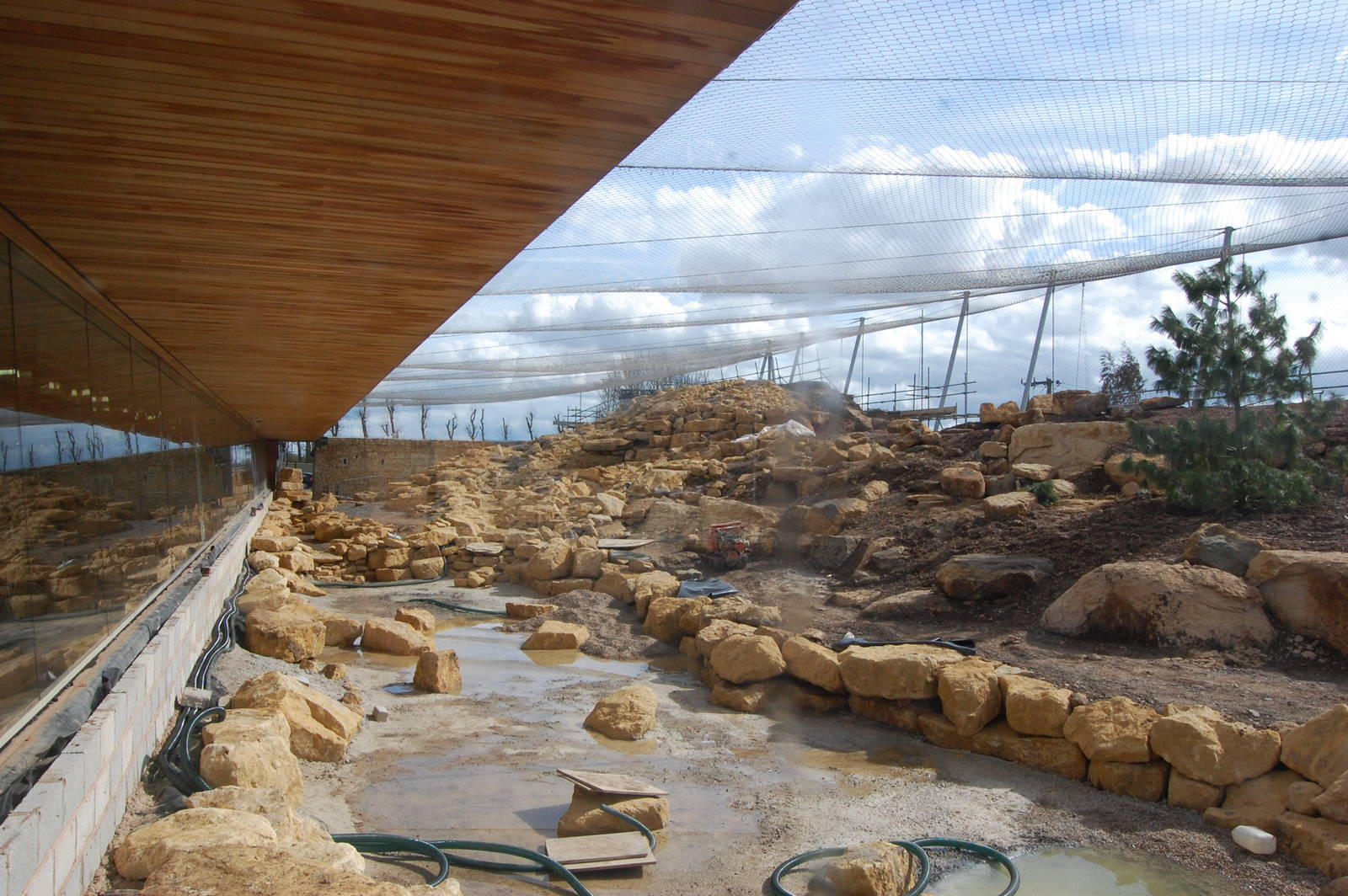 view of snowleopard exhibit