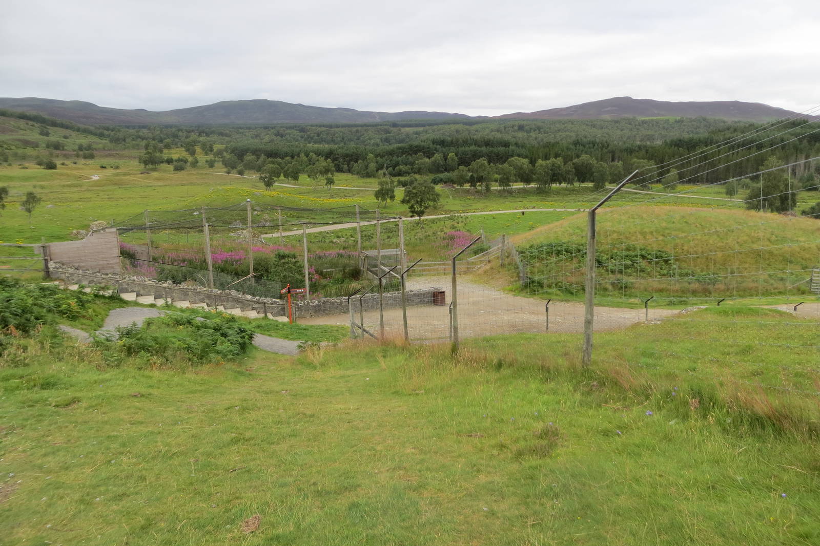 View of Snowy Owl enclosure and Main Reserve 250815