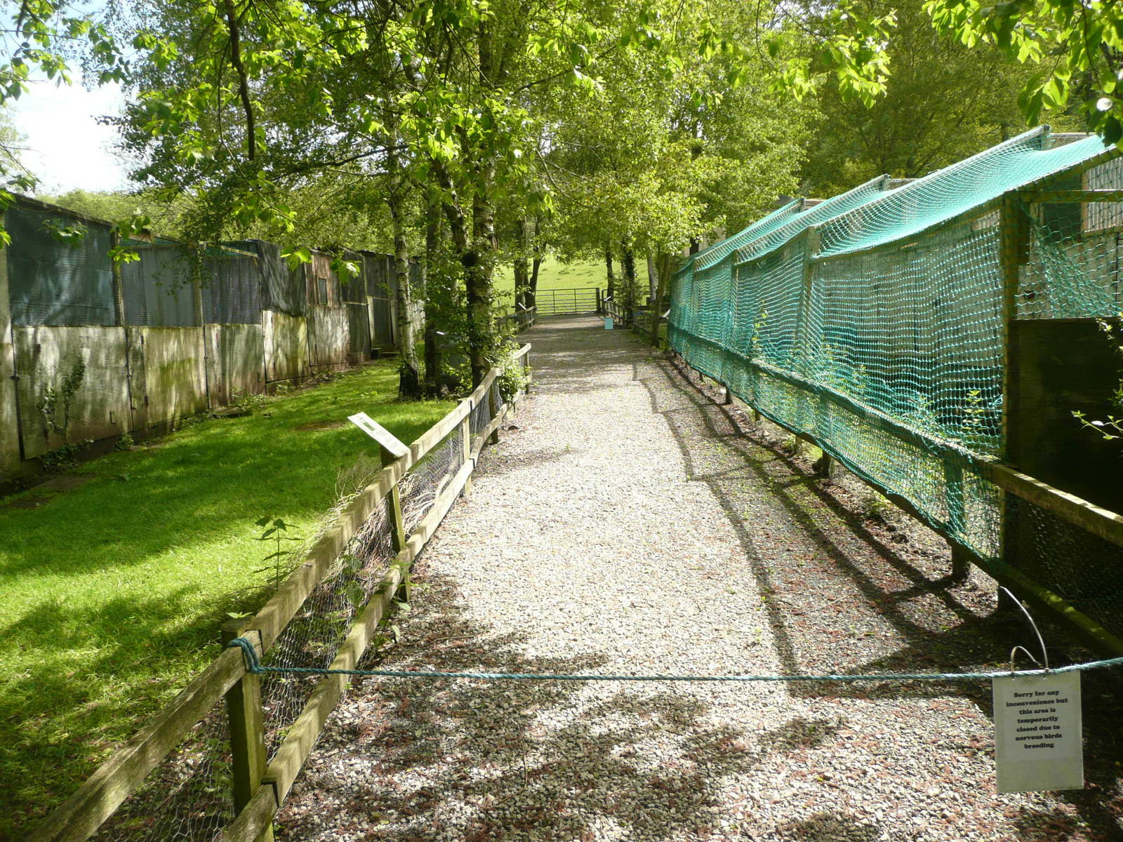 View of some breeding aviaries .