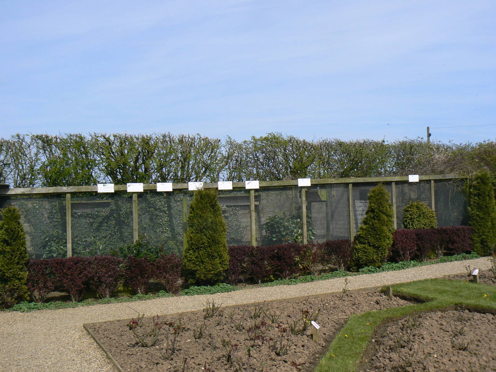 View of Some of the Aviaries - 5 May 2015