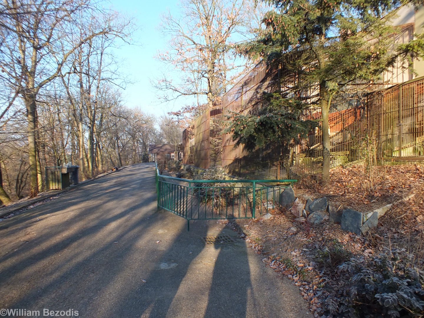 View of Some of the Older Primate Enclosures