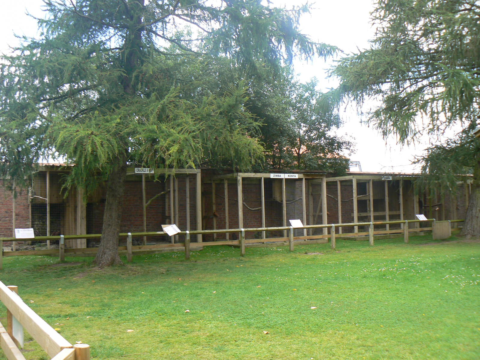 View Of Some Of The Owl Aviaries