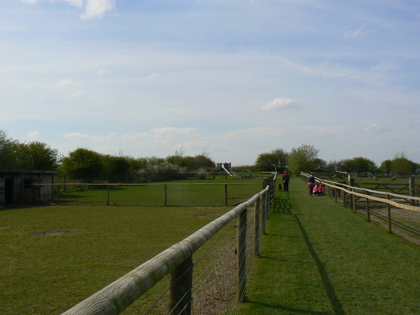 View of Some of the Paddocks - 5 May 2015