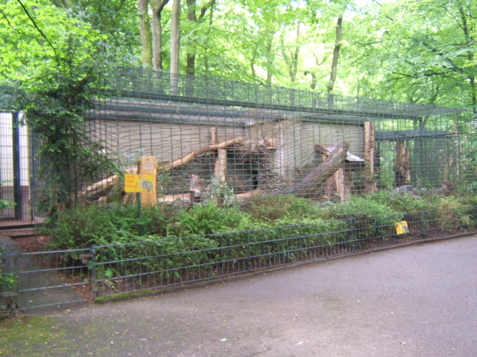 View of some of the Small Cat cages
